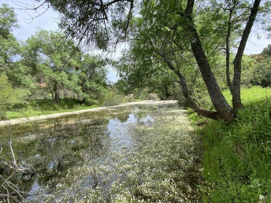 Finca La Alcolehuela
