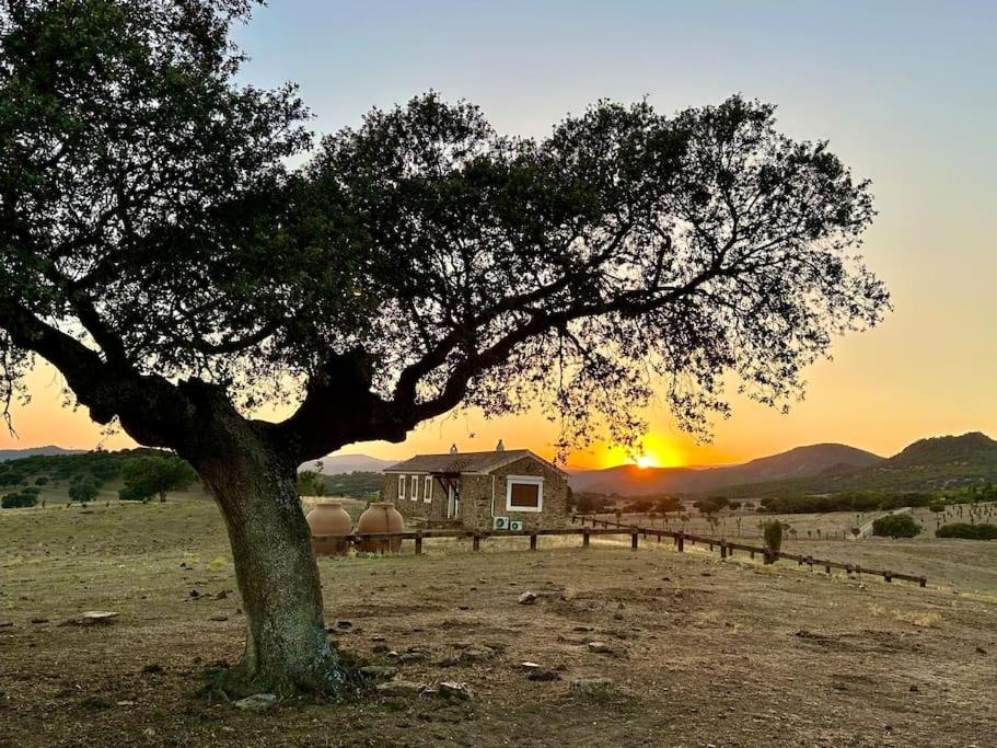 Finca La Alcolehuela
