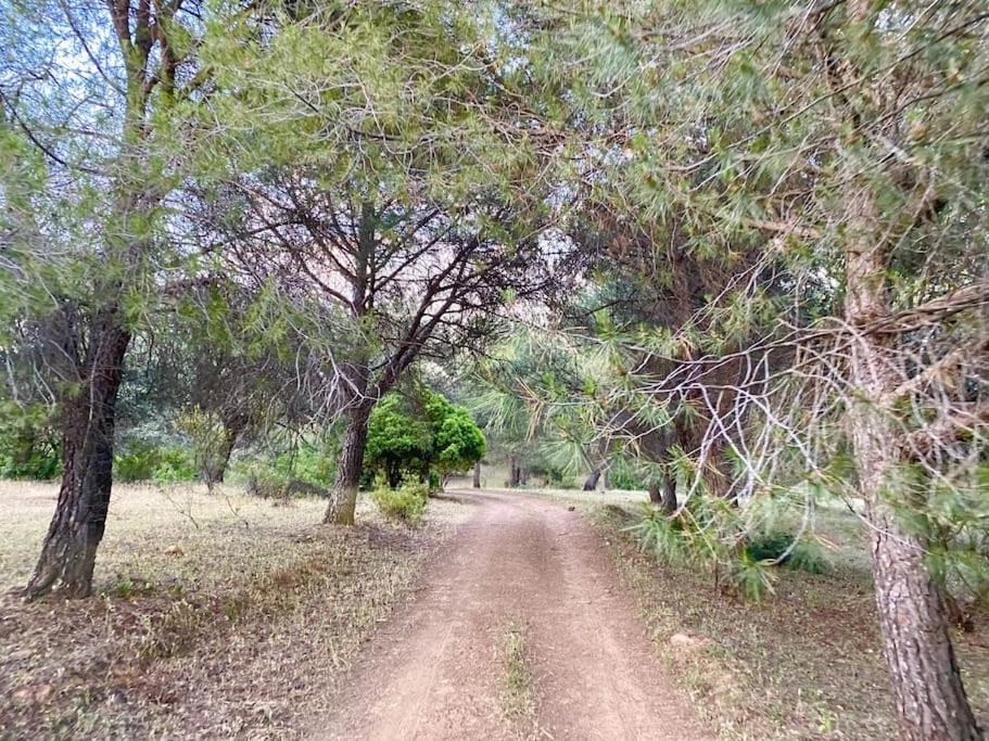 Finca La Alcolehuela