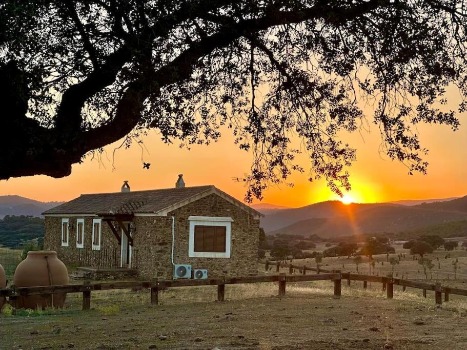Finca La Alcolehuela