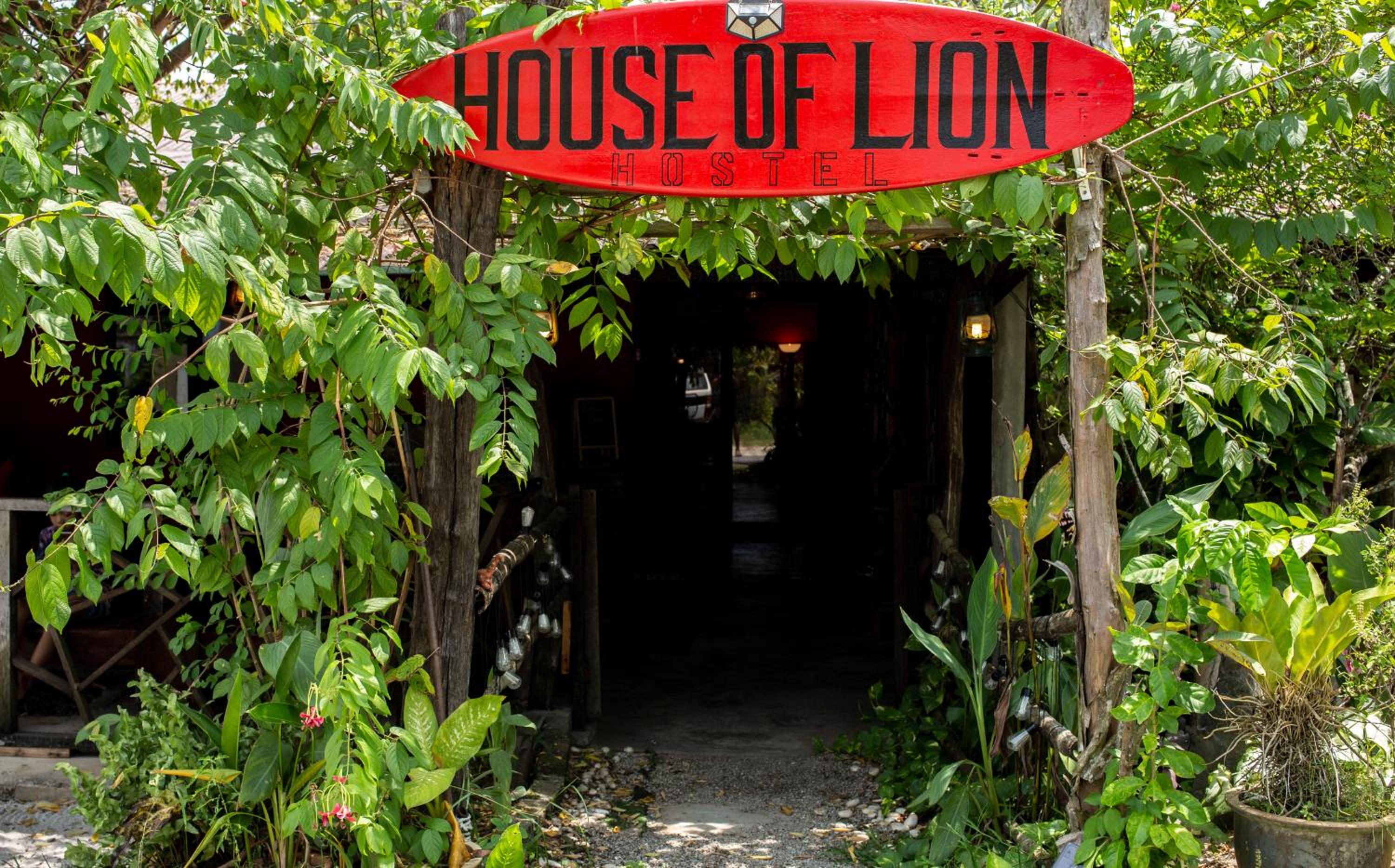 House of Lion Hostel photo 3