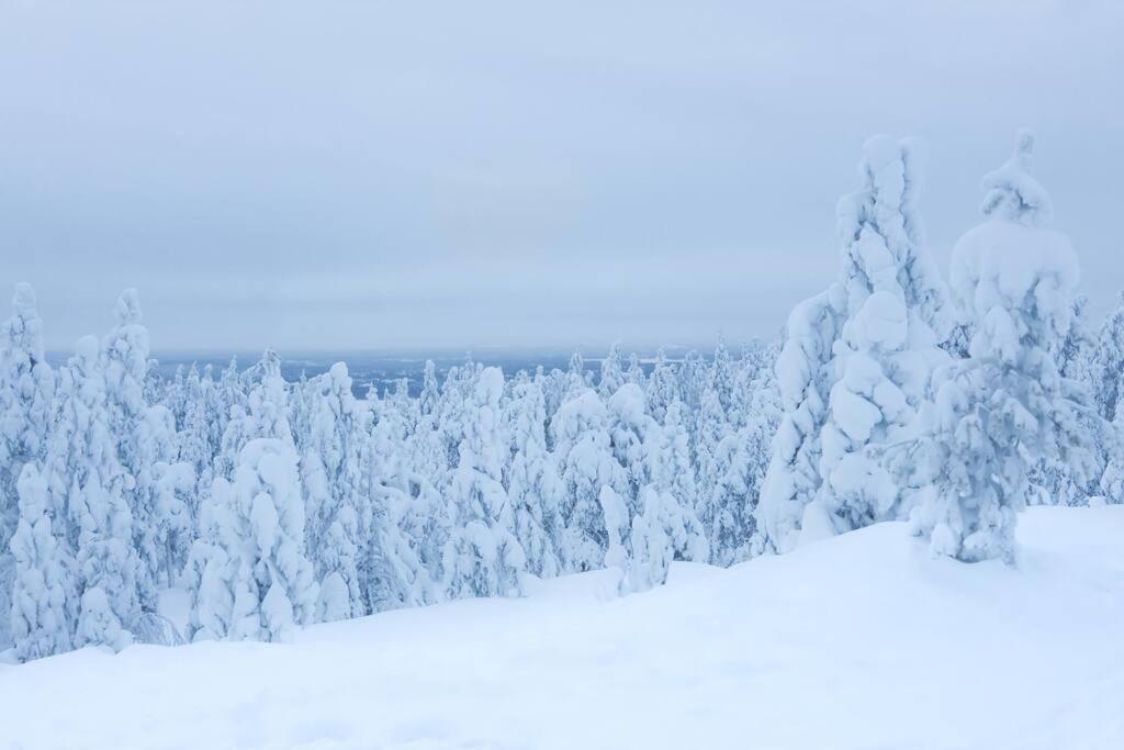 Arctic Circle Home close to Santa`s Village view 4