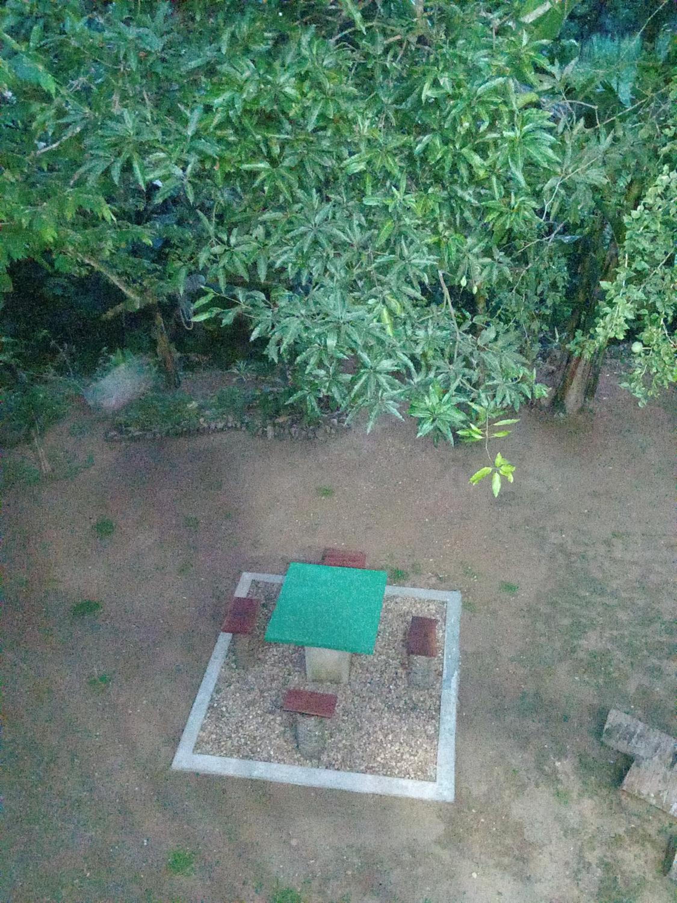 Green View Apartment