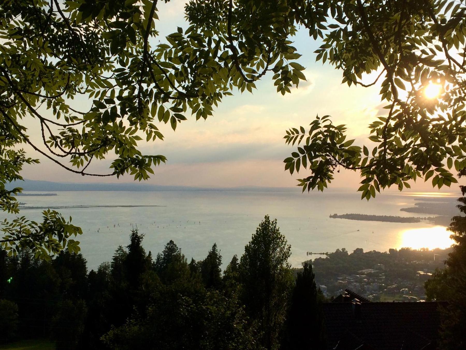 Ferienwohnung ZOOM - Stilvolle Wohnung mit Balkon in ruhiger Umgebung view 3