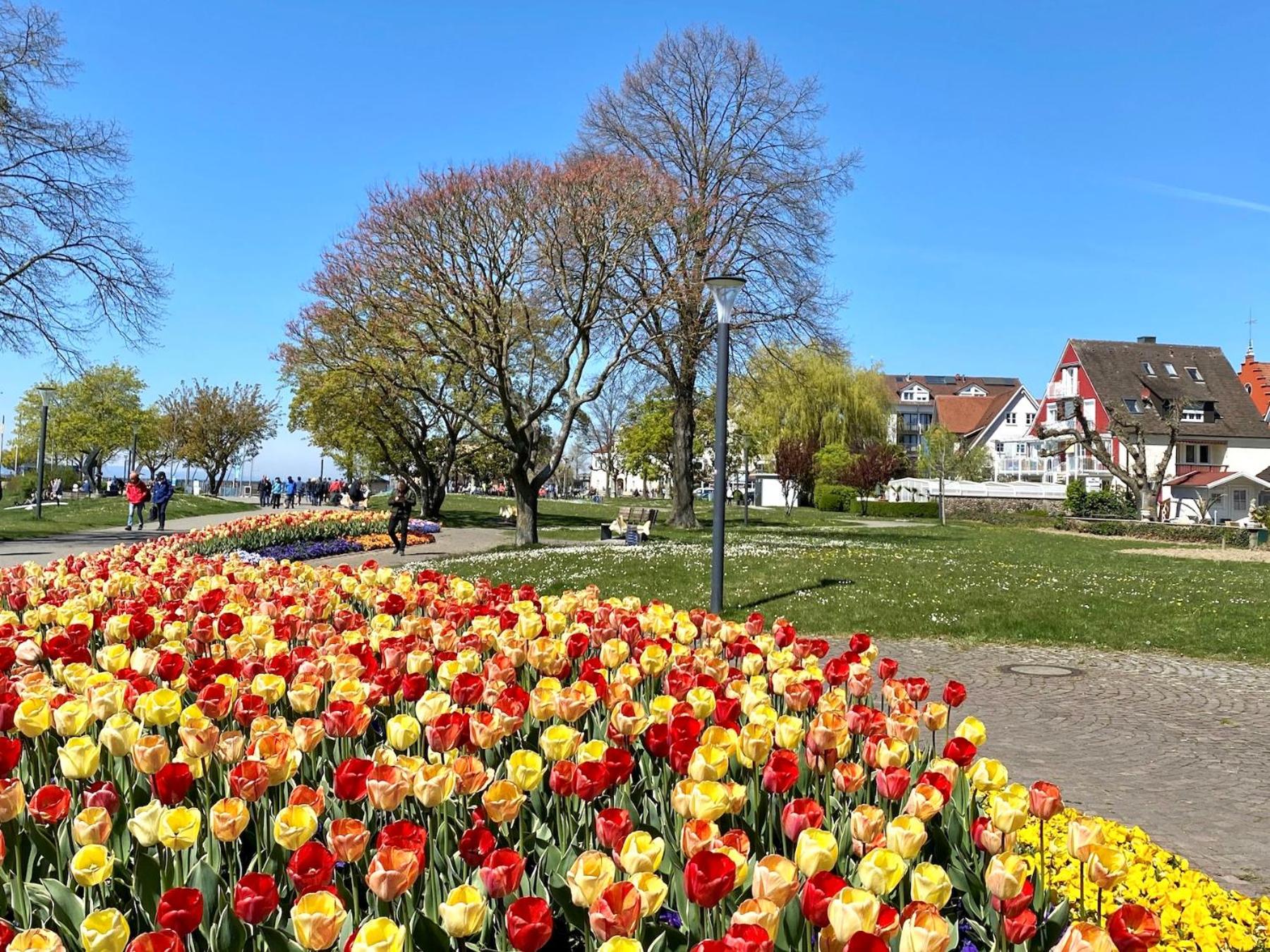 Ferienwohnung Strandgut - seenahe Maisonette Wohnung mit Parkplatz und Südbalkon view 3