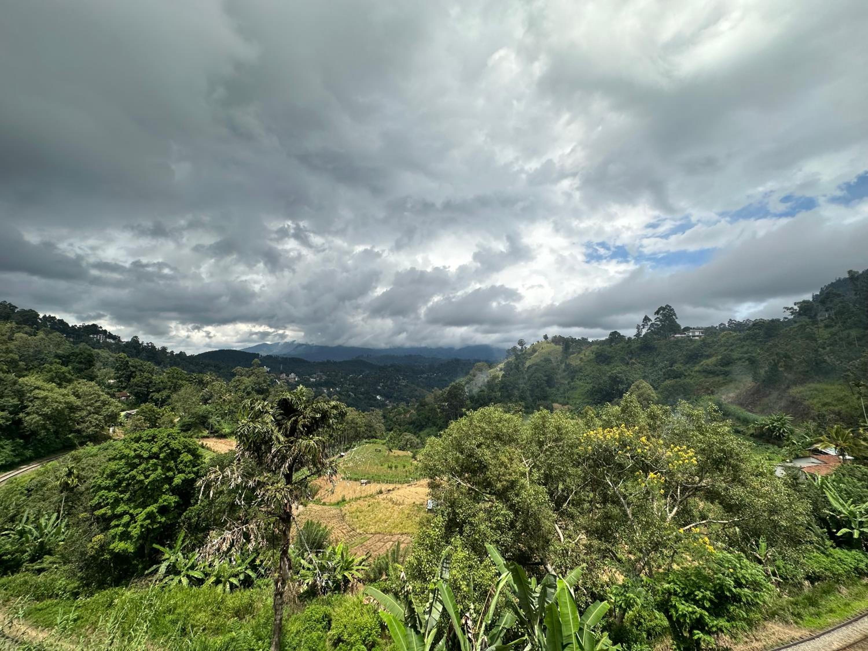 Photo 100