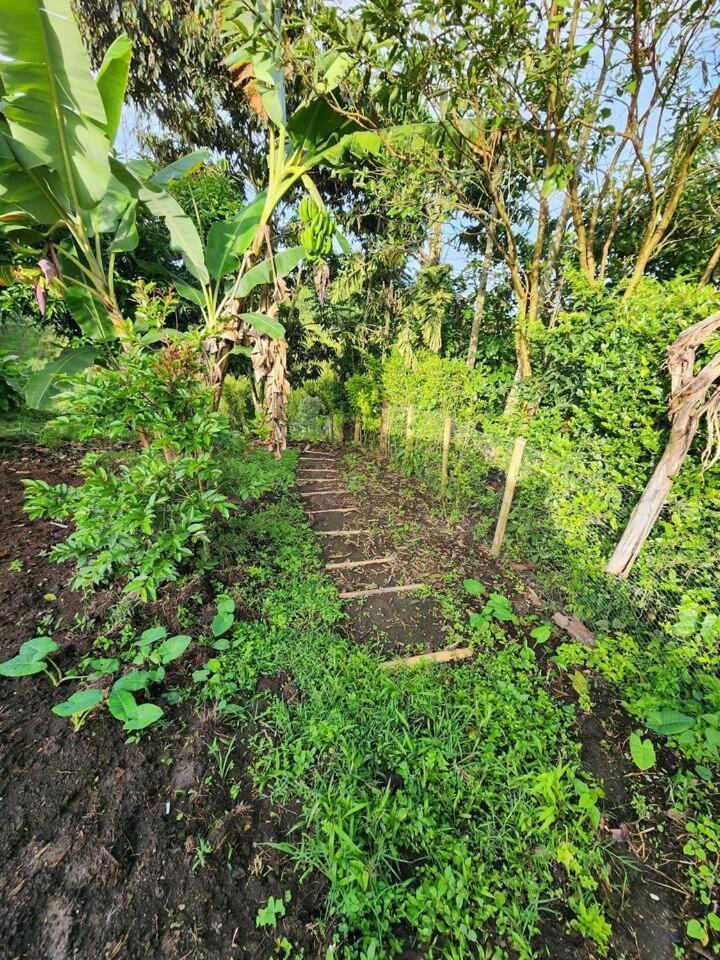 Vacation Home Villa Namaste Colombia
