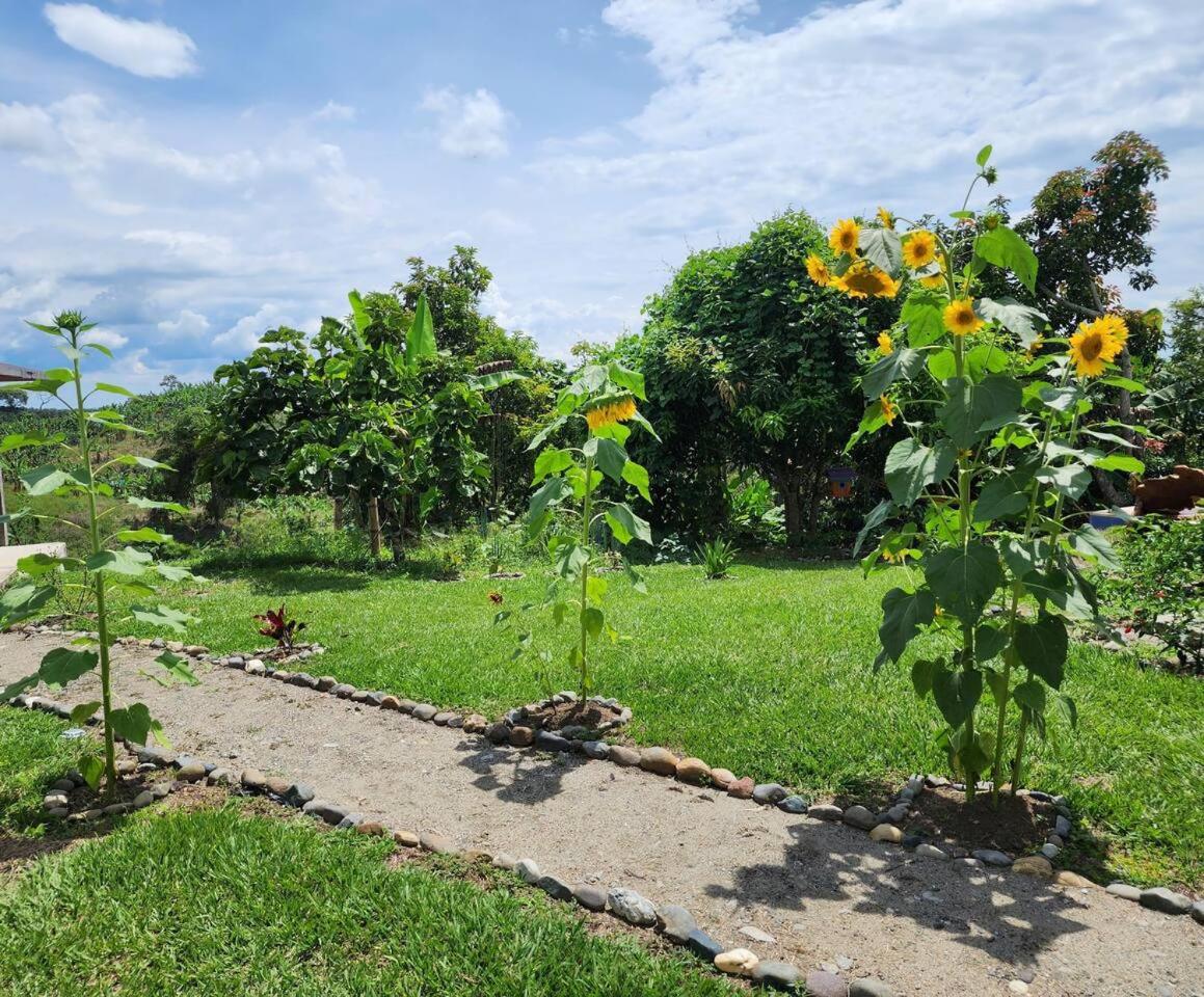 Vacation Home Villa Namaste Colombia