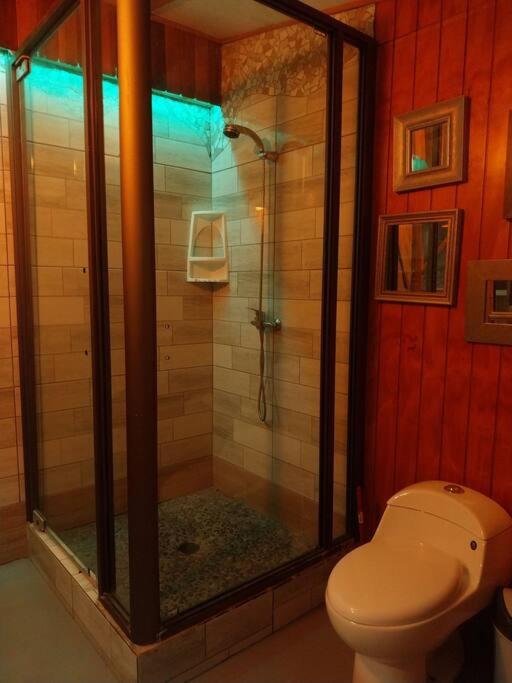 Arte Vitral Lodge - 4camas- aislada- terrazas -vista - piscina-sauna