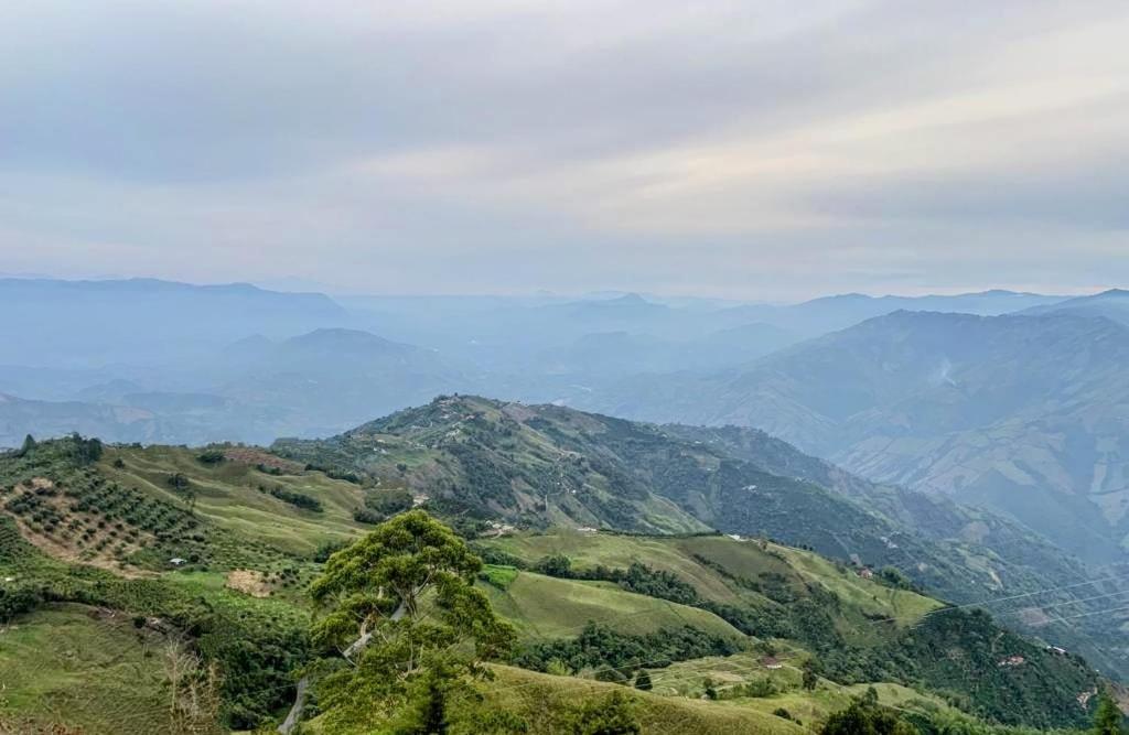 LA MARQUESA PACORA