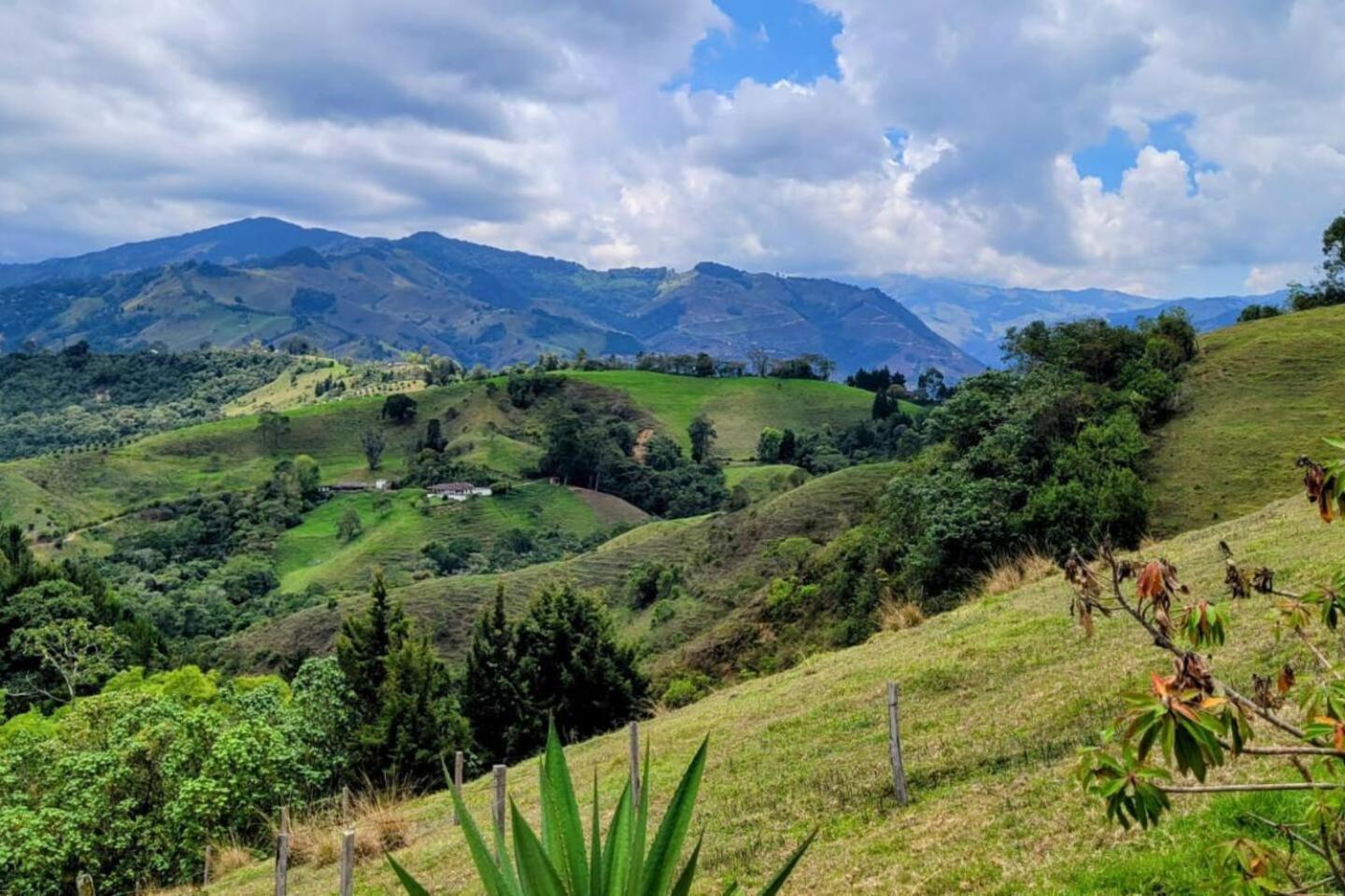 LA MARQUESA PACORA