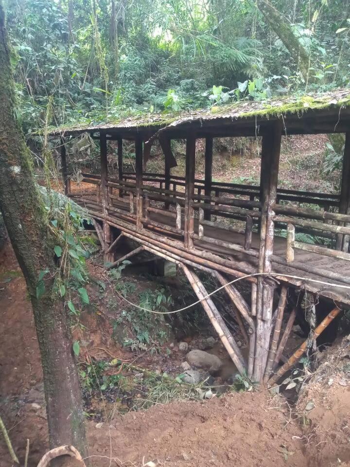LA MARQUESA PACORA
