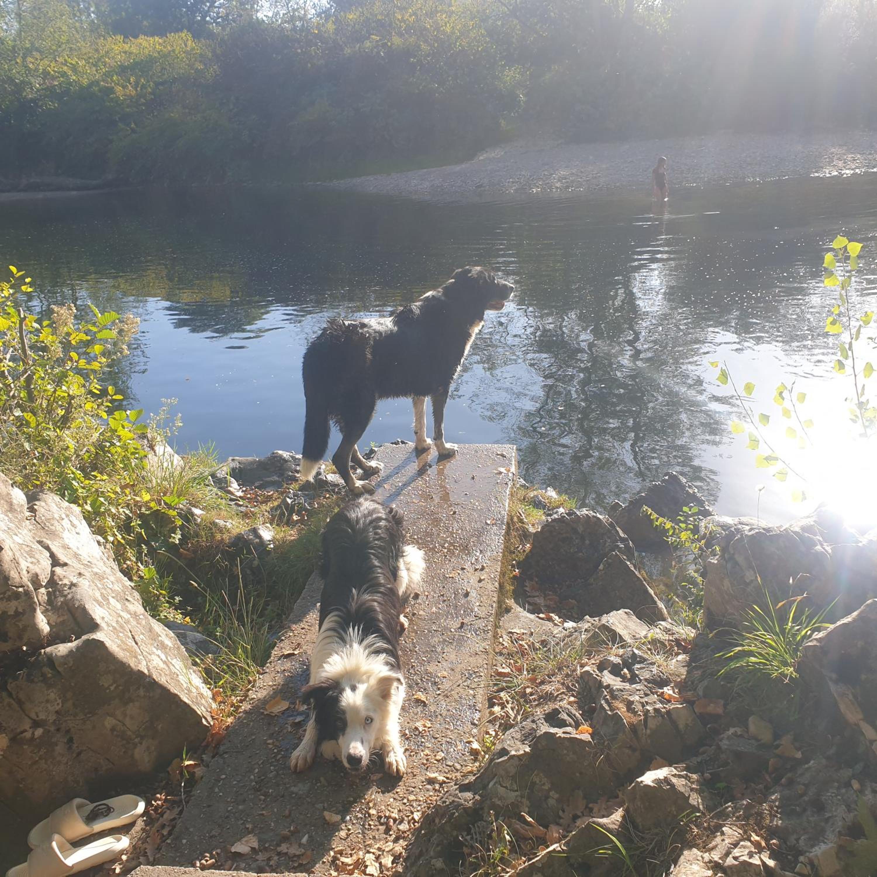 El Búho de la Remolina