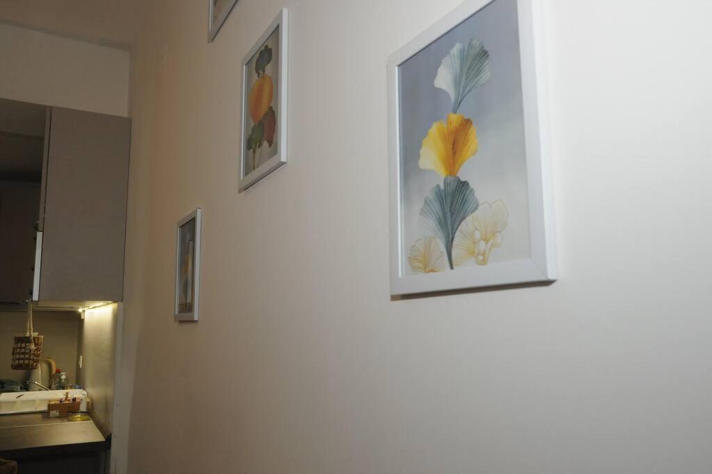 King-size bed, Free parking, kitchenette, wifi apartments view 4