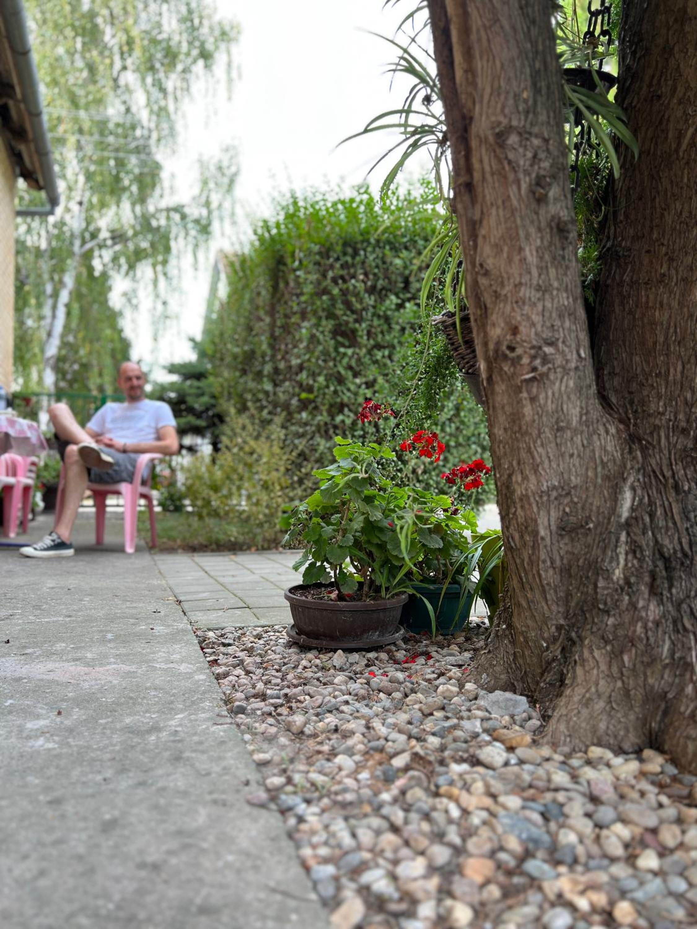 Bezdan Guesthouse