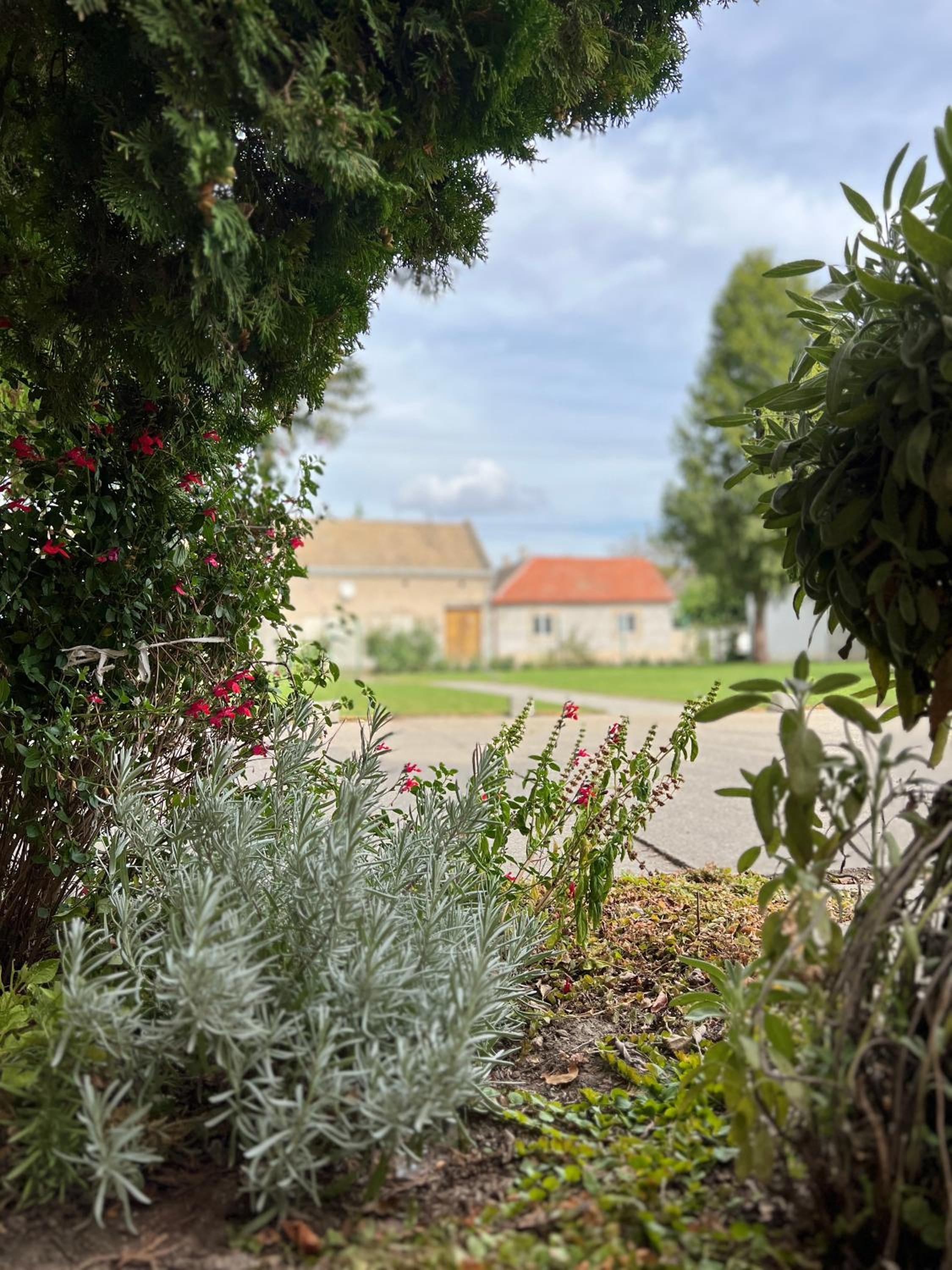 Bezdan Guesthouse