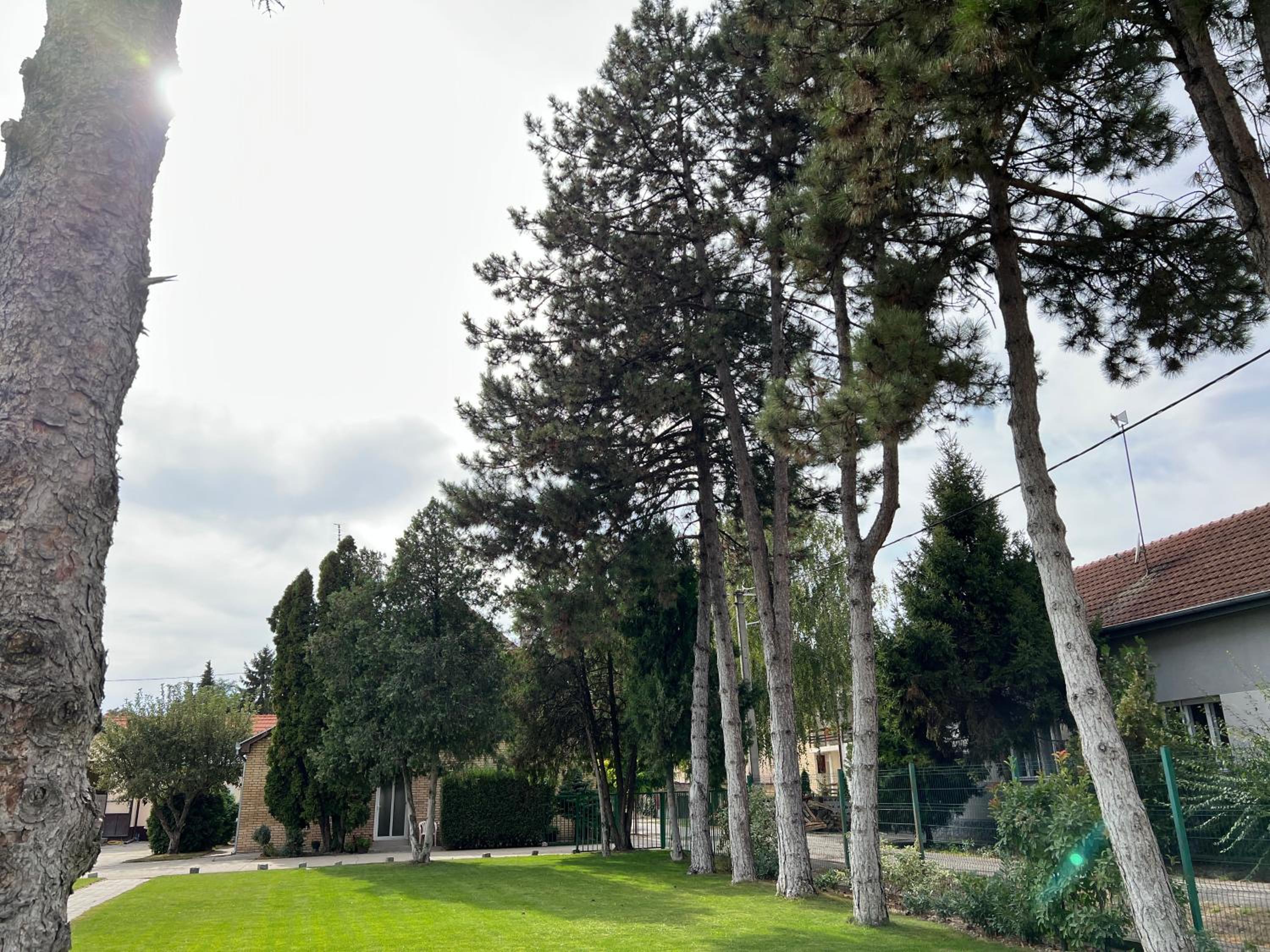 Bezdan Guesthouse