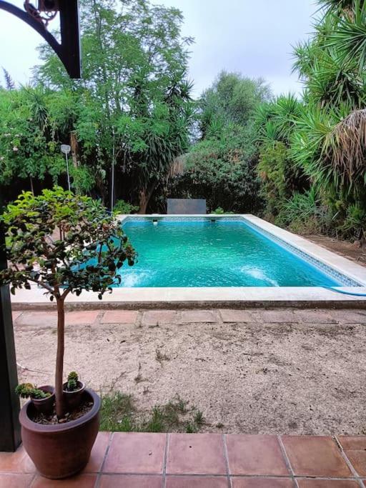 Casa rural en el campo con animales, piscina y barbacoa view 5
