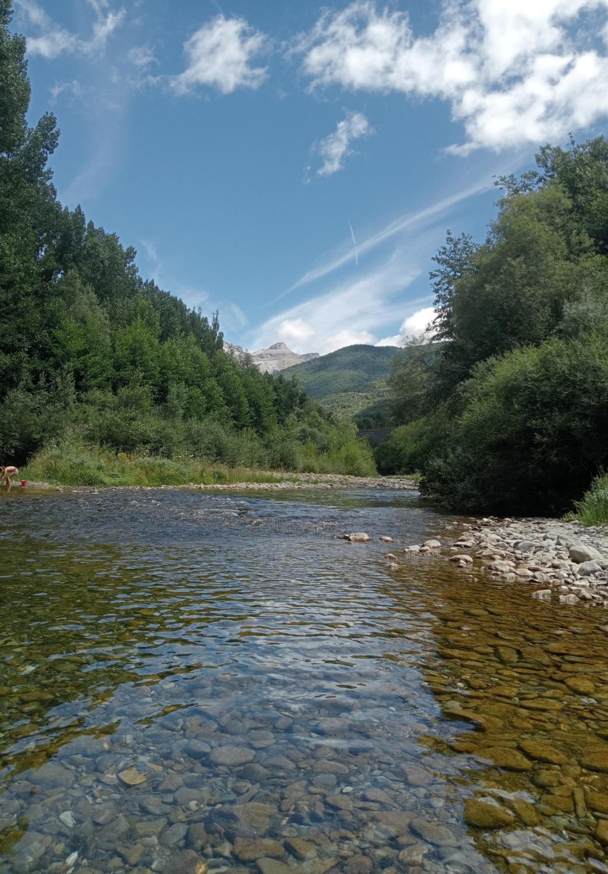 El nido de Villanua