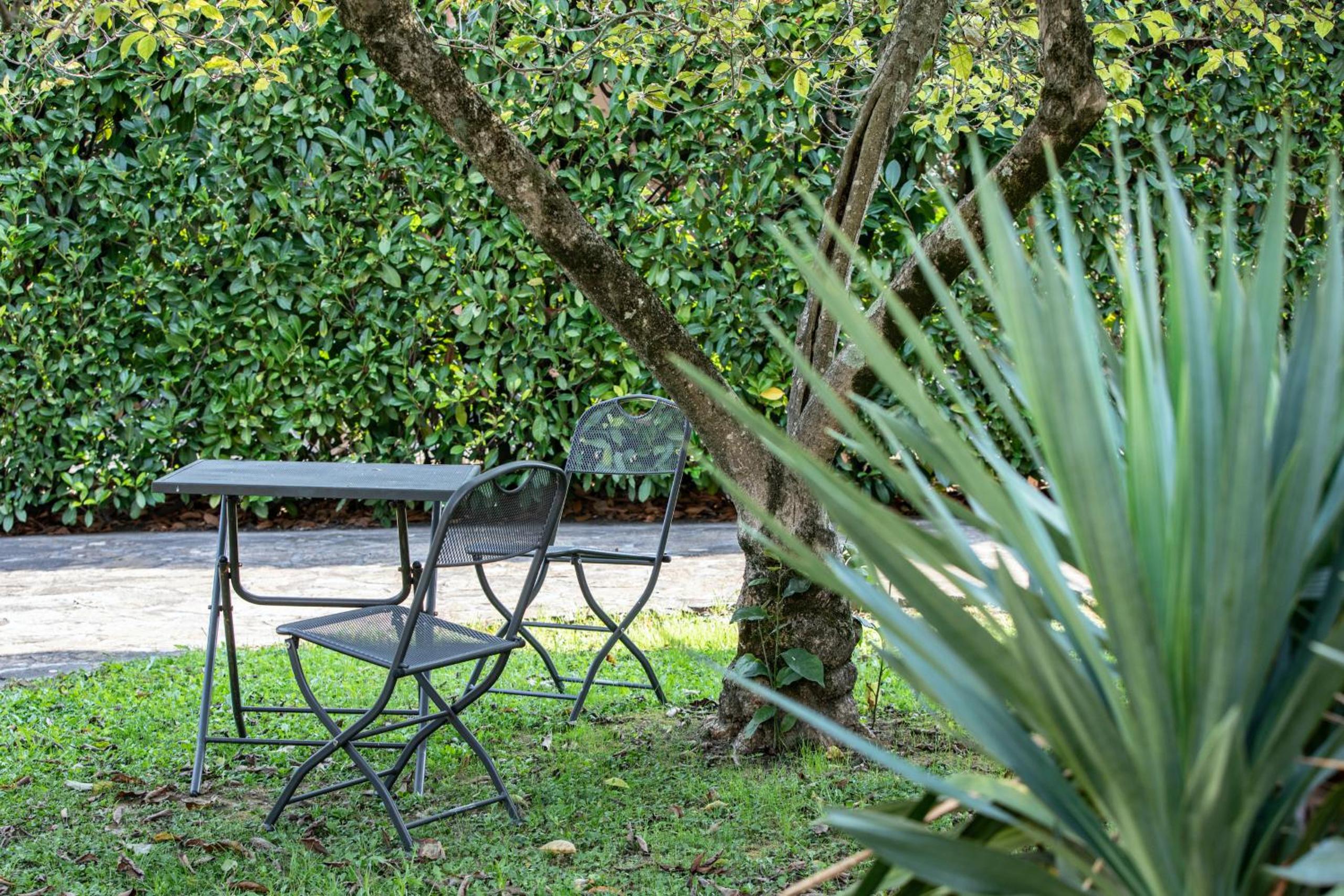 Villa Barsotti Luxury Apartment