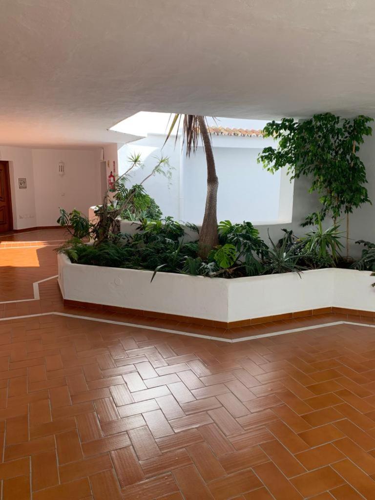 Charming Apartment in Puerto Banus