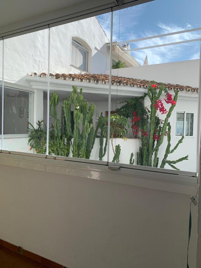 Charming Apartment in Puerto Banus