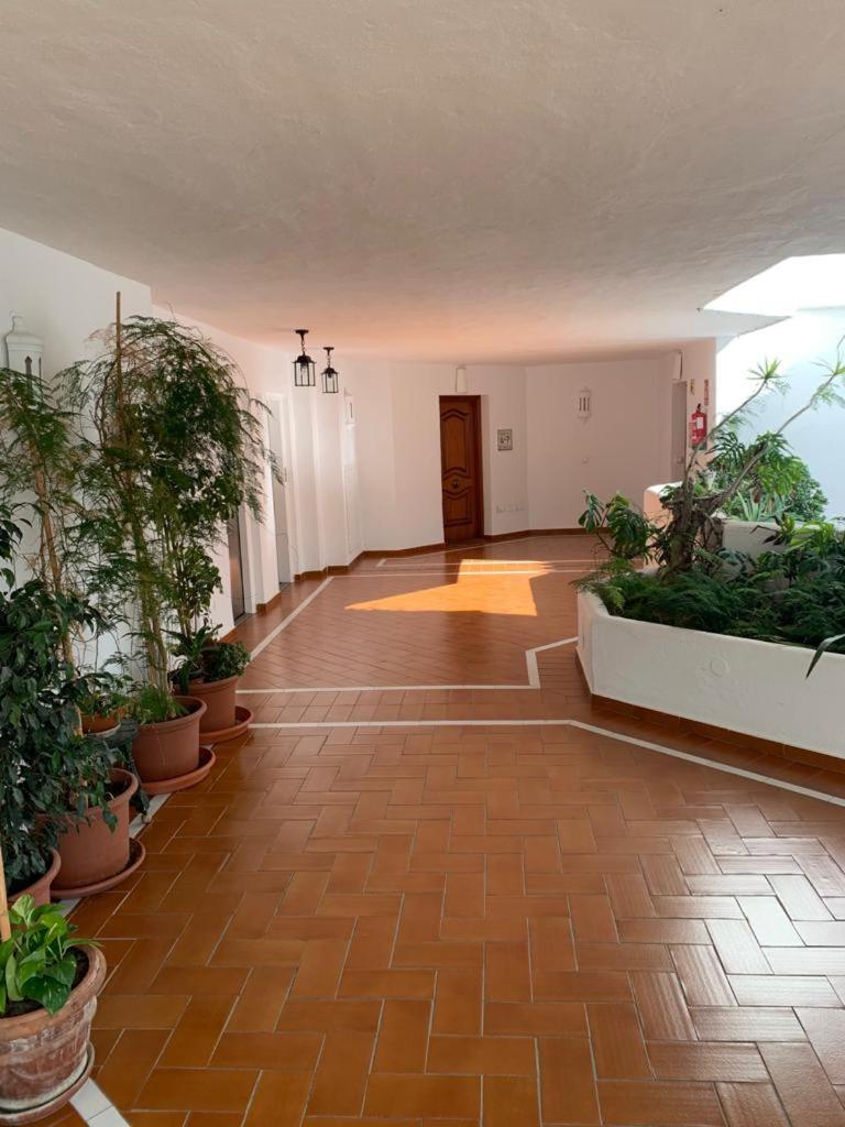 Charming Apartment in Puerto Banus