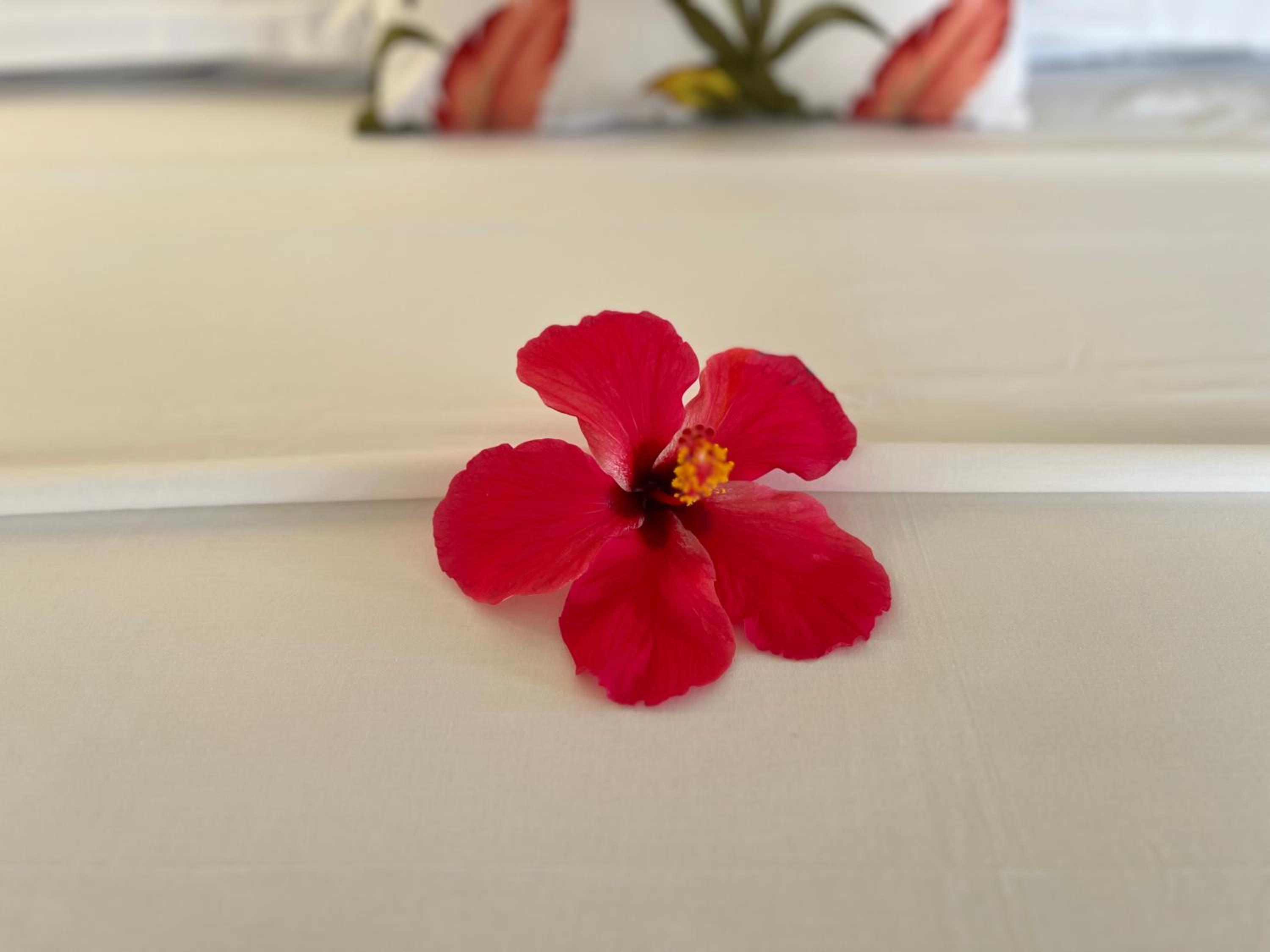 Maison Marikel photo 4