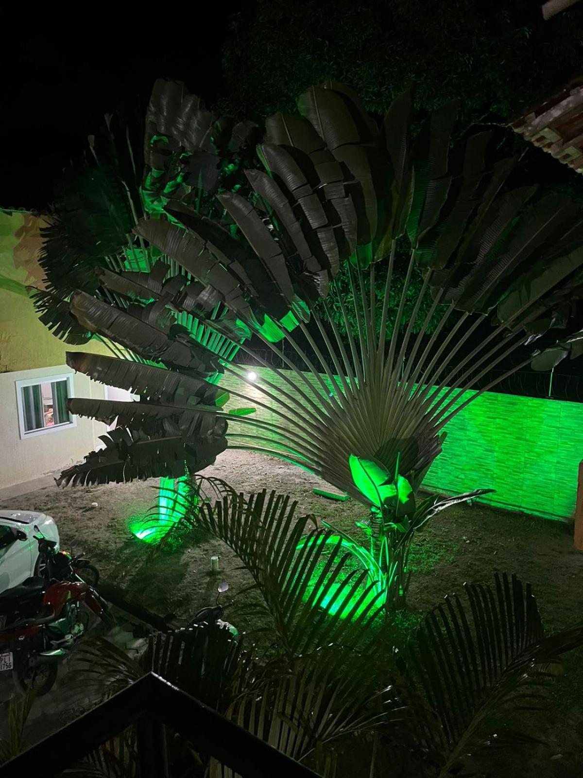 Férias na Bahia