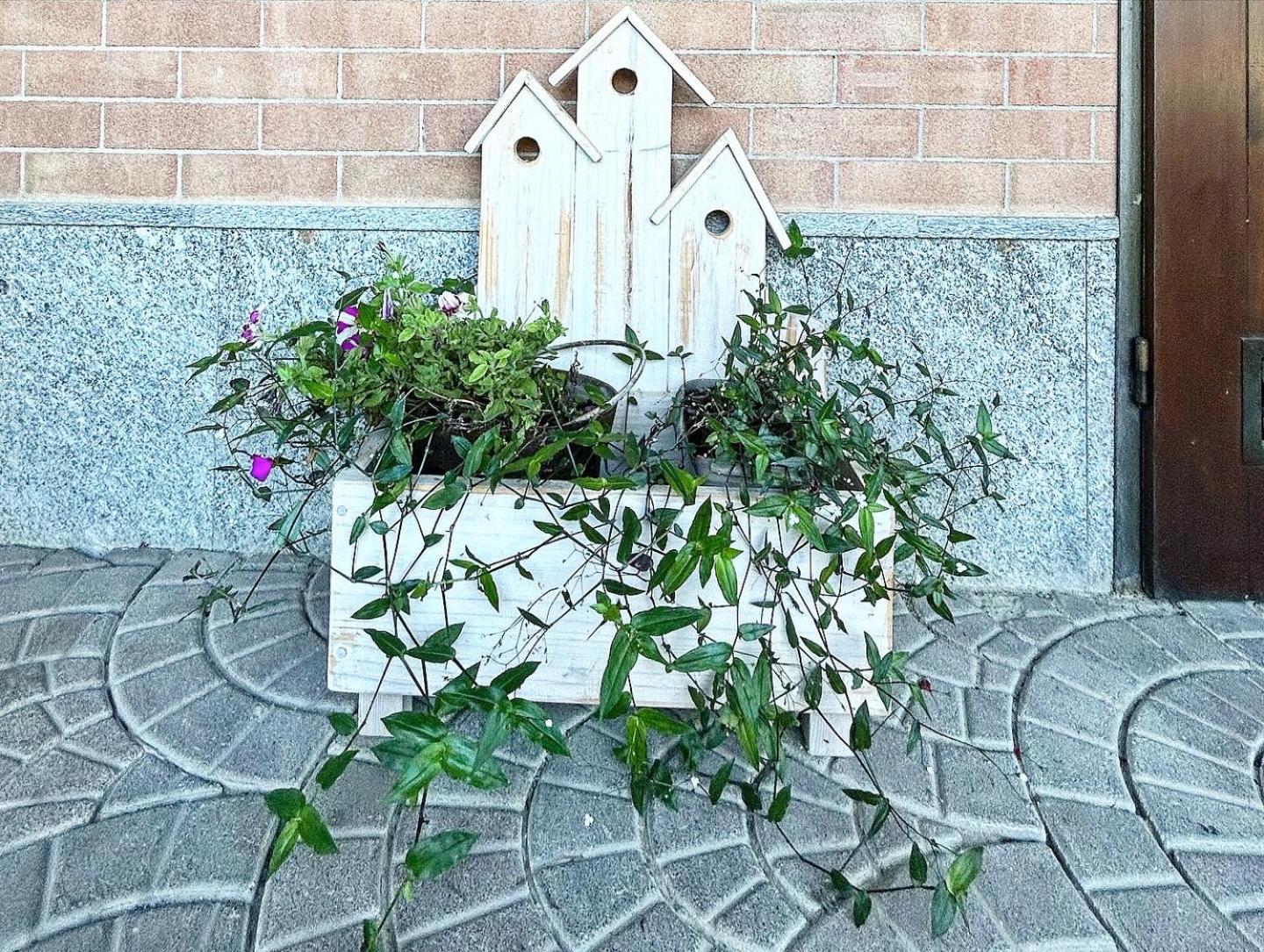 Bed and Breakfast MADERA photo 3