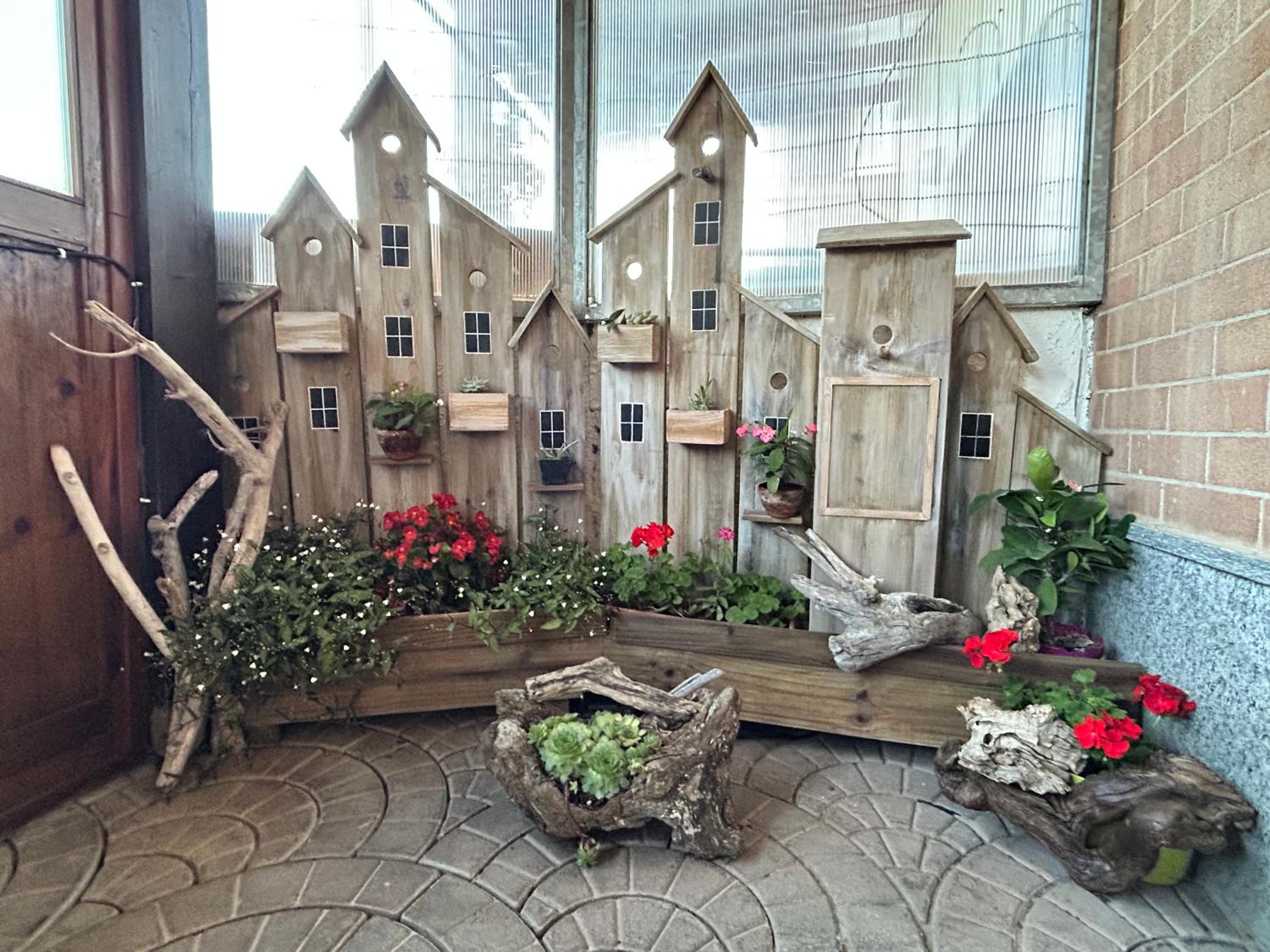 Bed and Breakfast MADERA photo 2