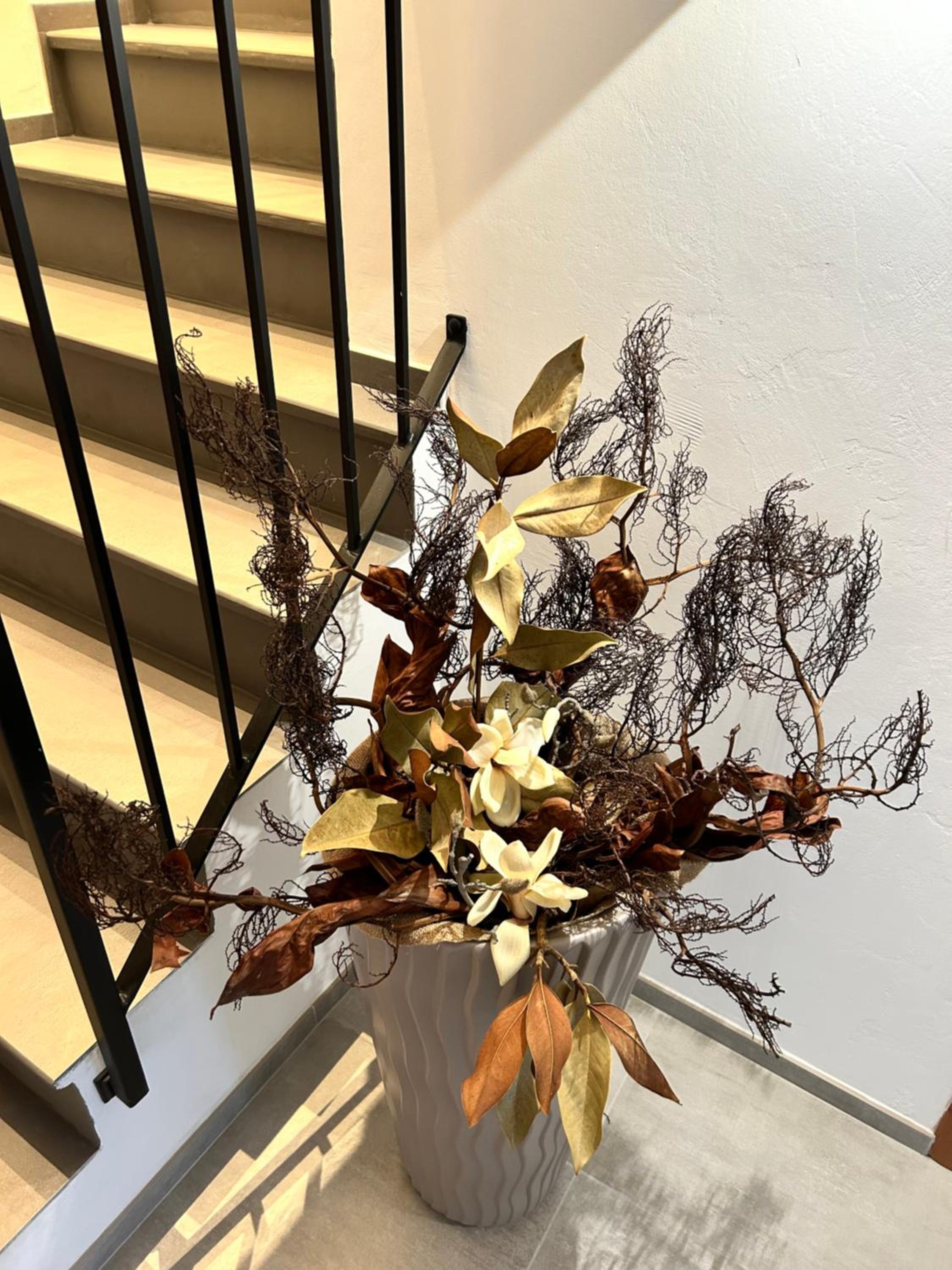 Bed and Breakfast MADERA photo 4