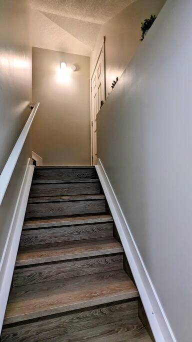 Cozy basement for a lovely stay & perfect for WFH