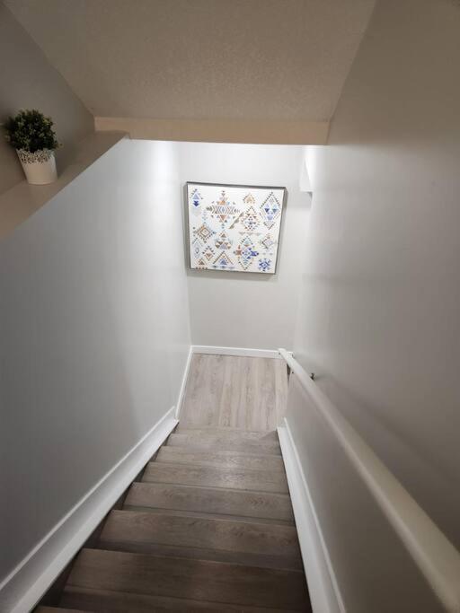 Cozy basement for a lovely stay & perfect for WFH