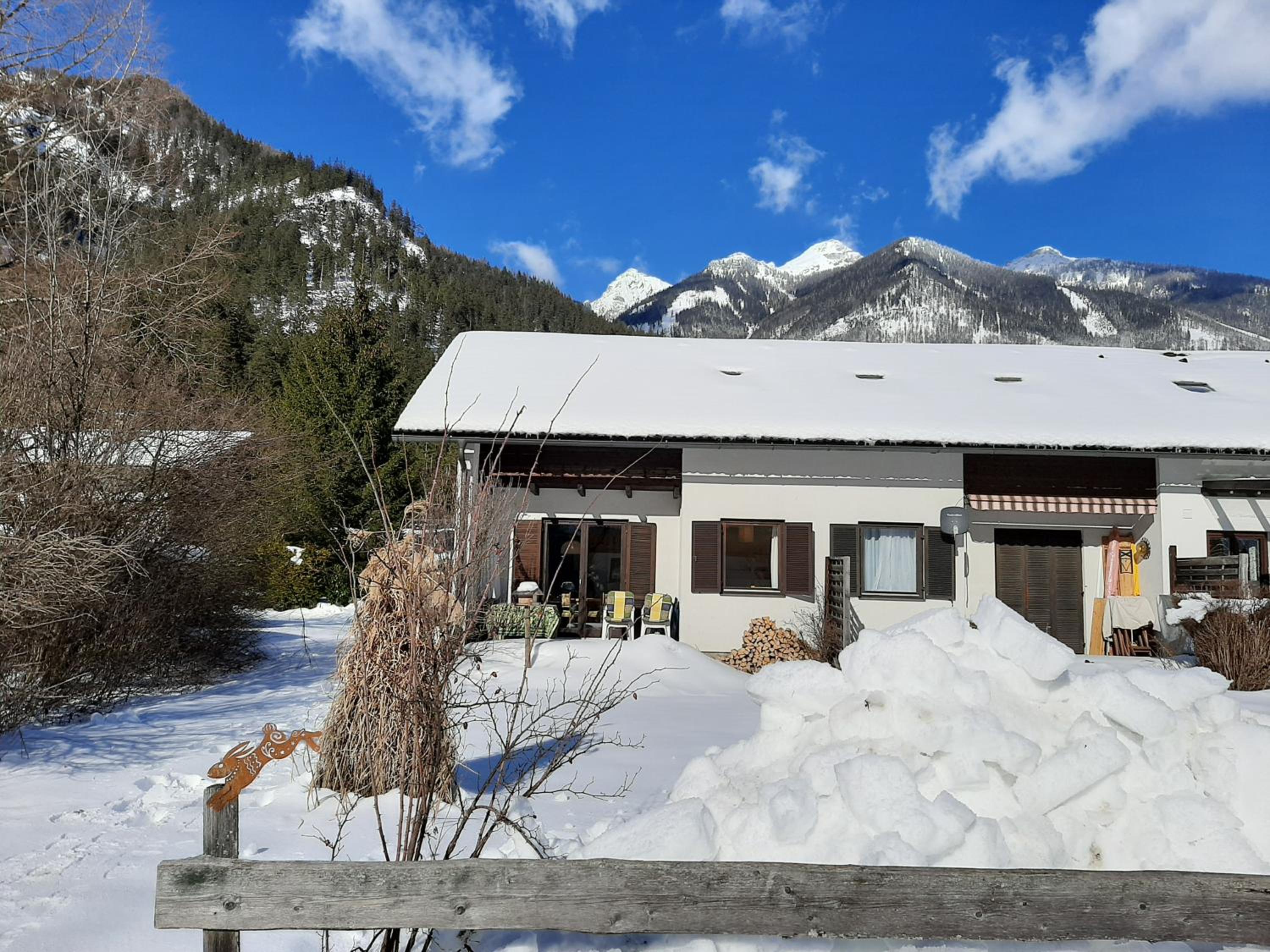 Haasenhaus