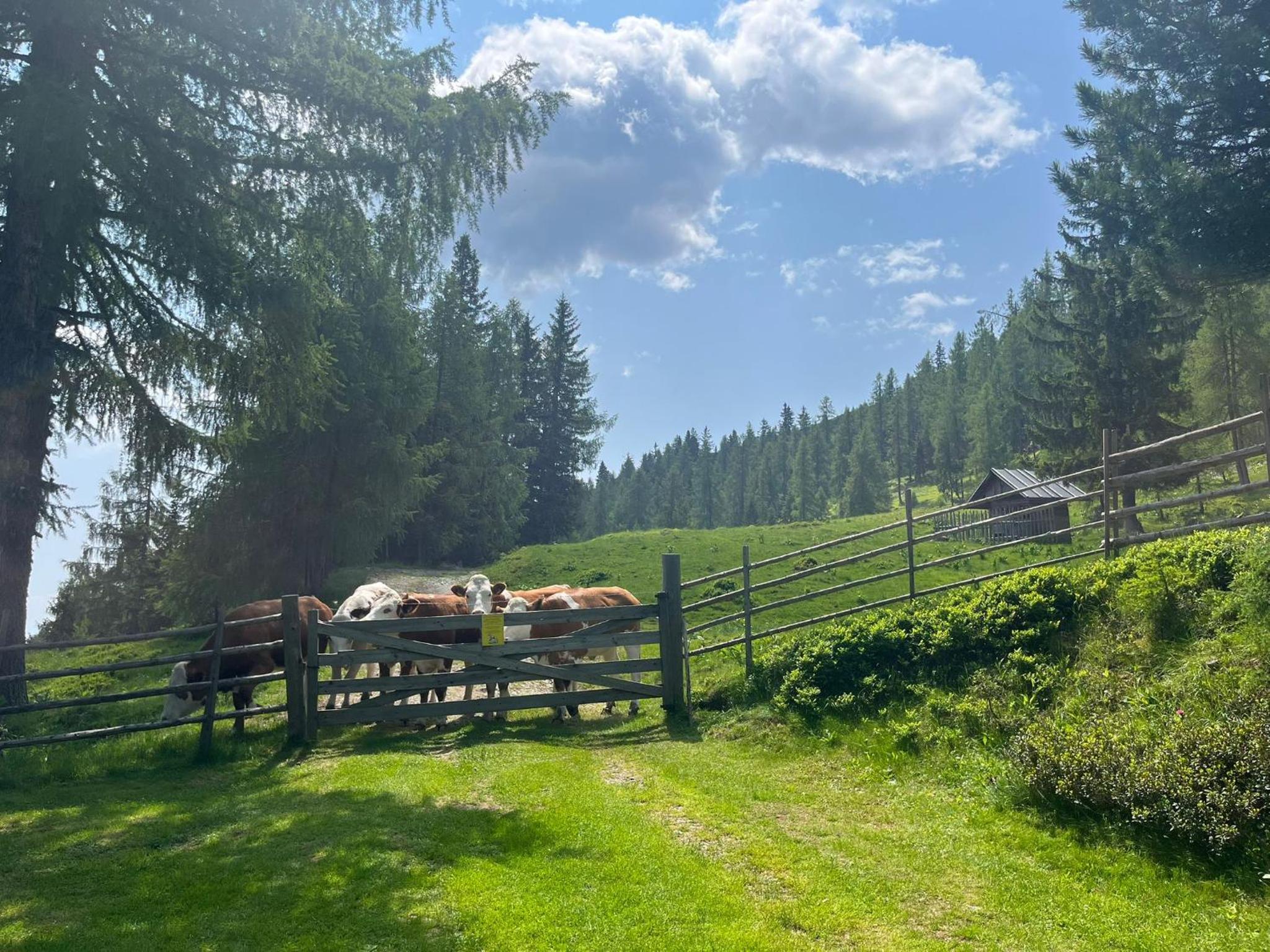 Neuwirth Hütte