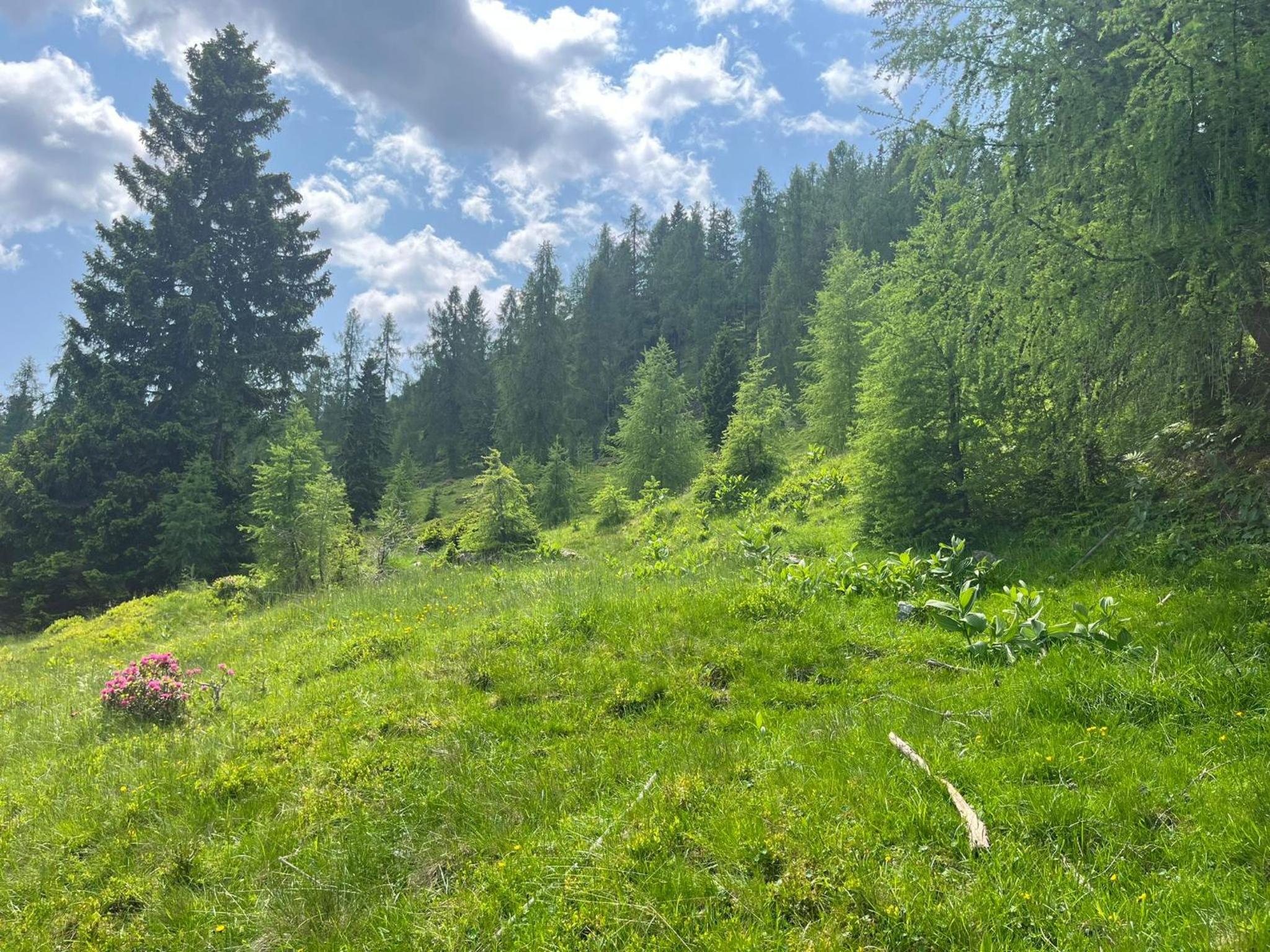 Neuwirth Hütte