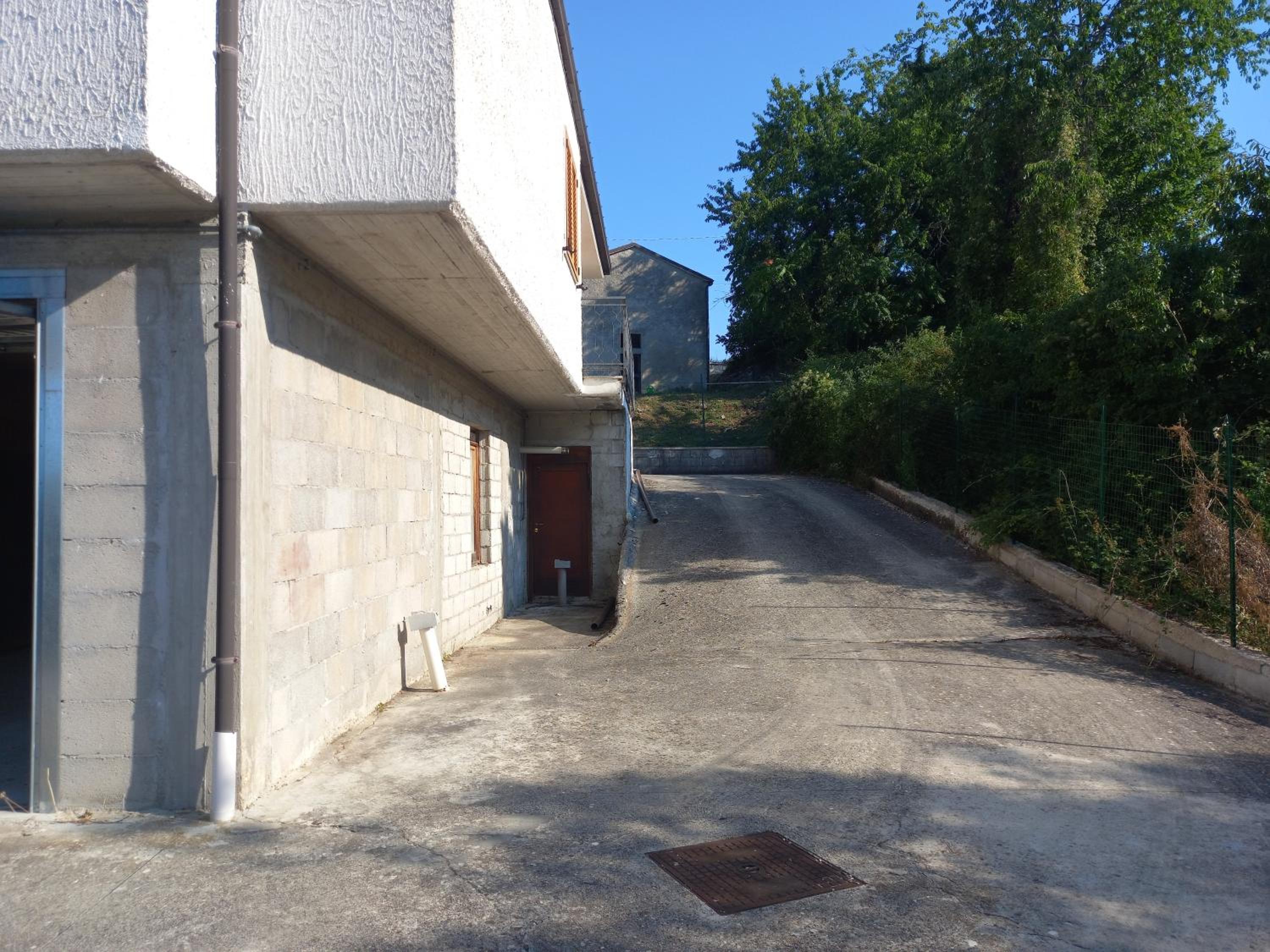 Photo 8