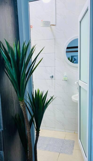 Pilipili Kijani Luxury homes