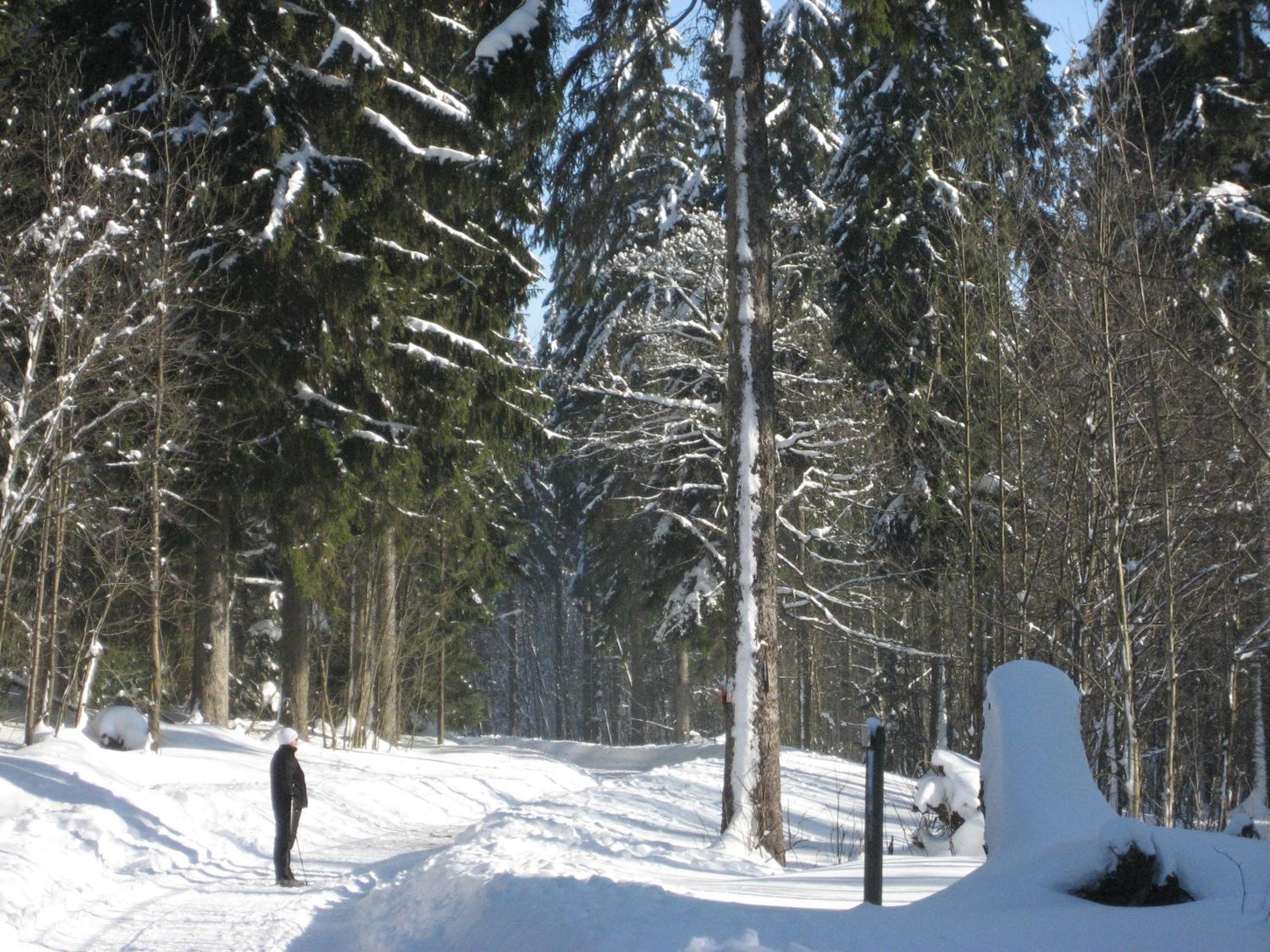 Ferienwohnung Schneemann
