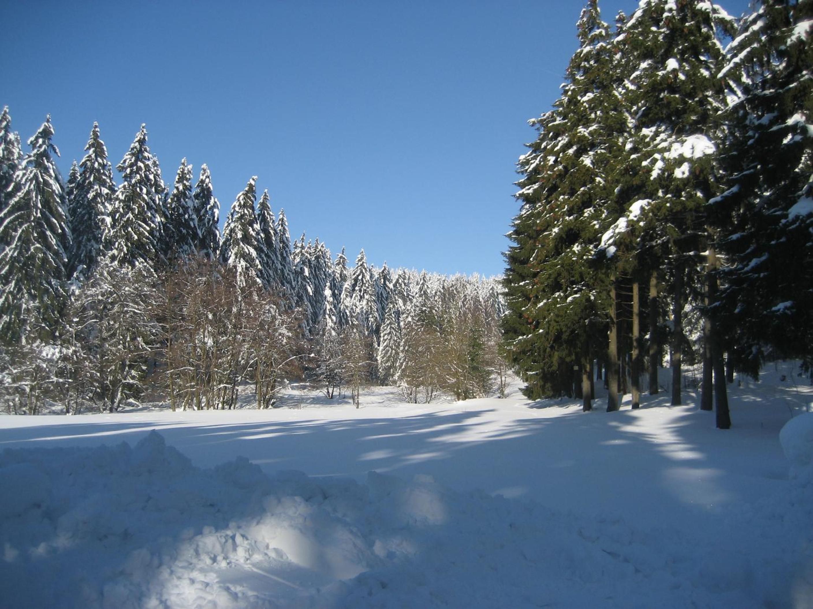 Ferienwohnung Schneemann