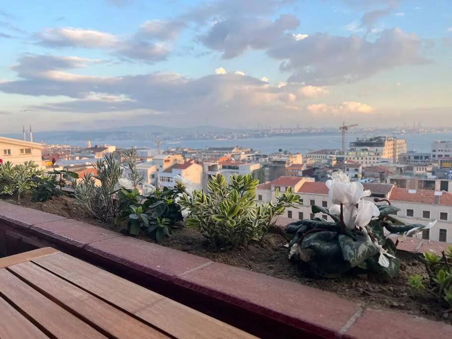 Magnificent view, in the center