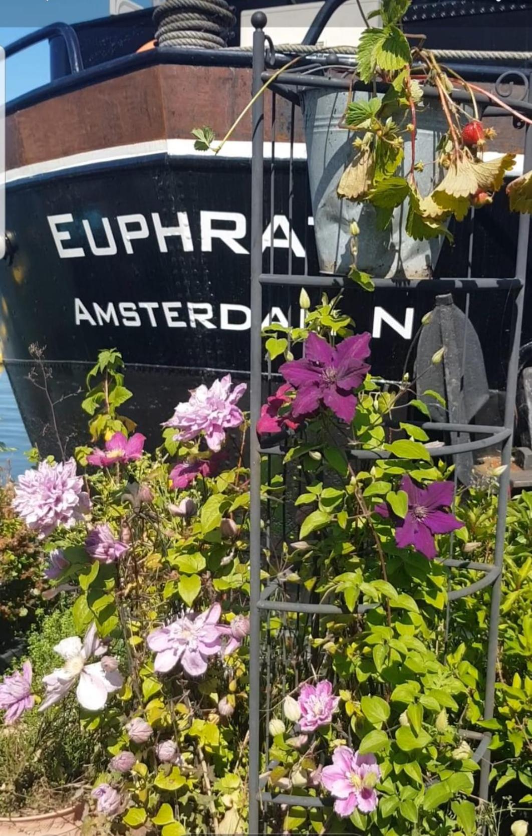 WHEELHOUSE EUPHRATE HOUSEBOAT