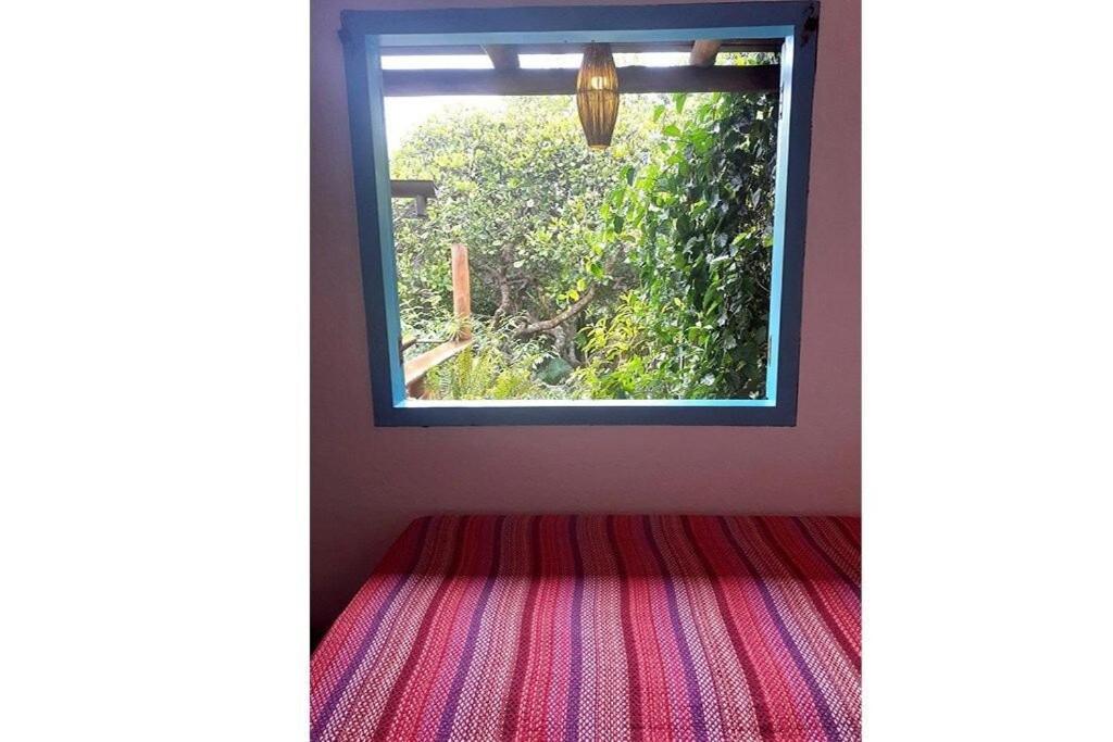 VILA IJEXÁ casas e bangalôs CARAÍVA BA