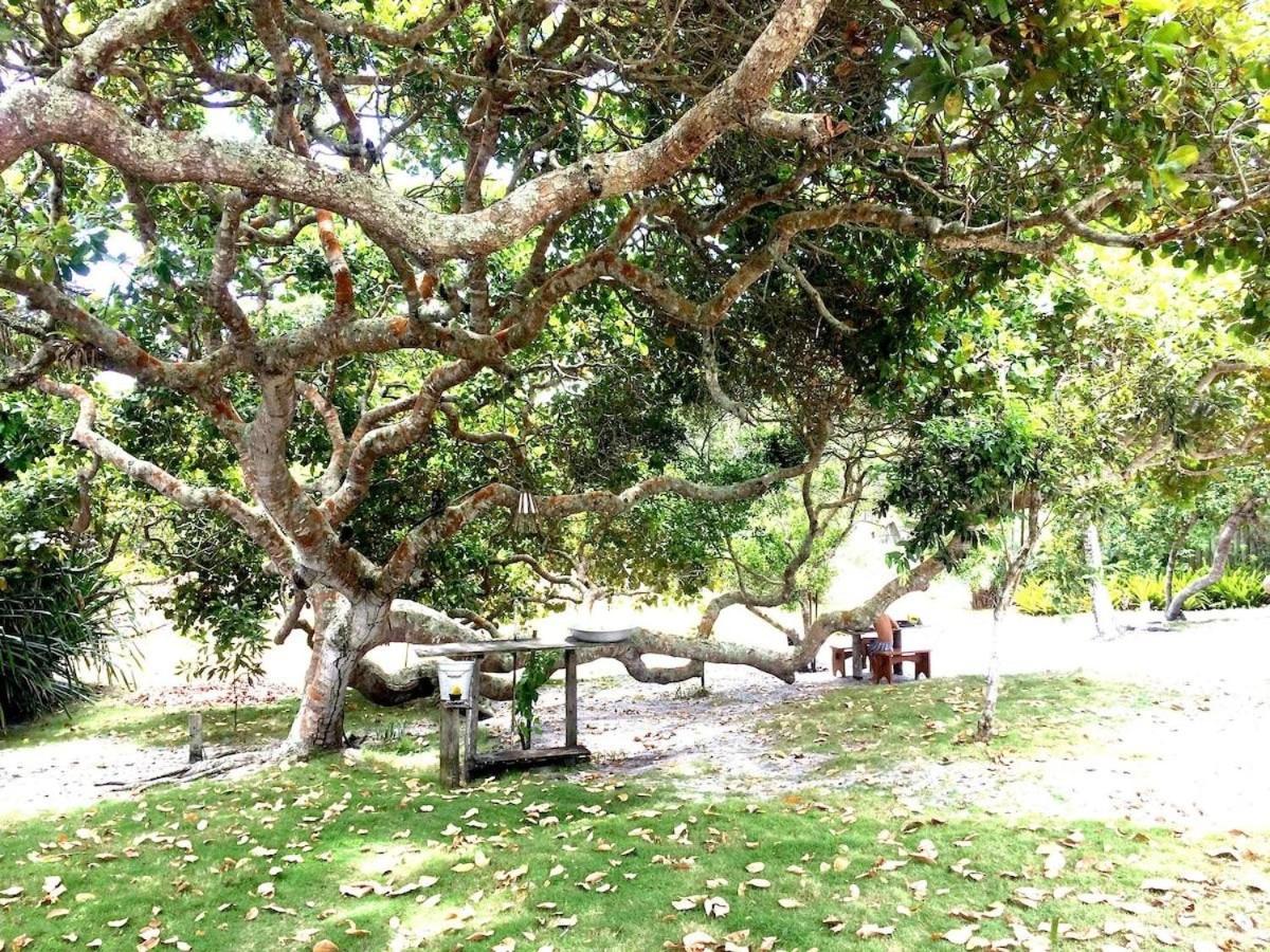 VILA IJEXÁ casas e bangalôs CARAÍVA BA