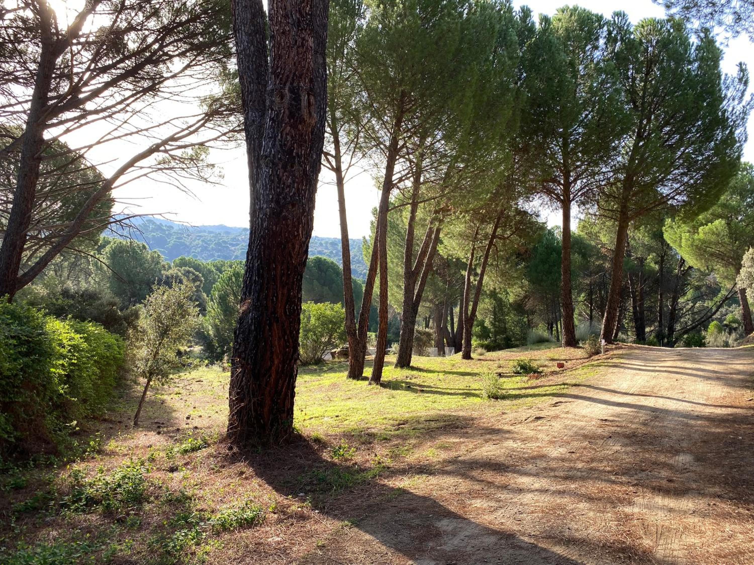 Casa Valdesanmartin - Country House, 10500sqm, Pool, Paddel & Bbq view 3