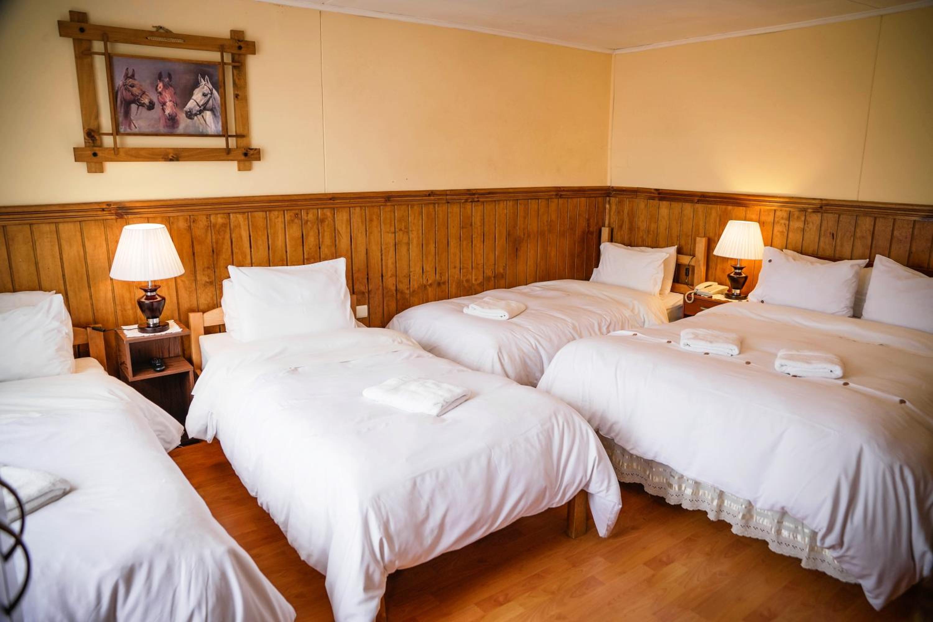 Hostal Hielo Sur