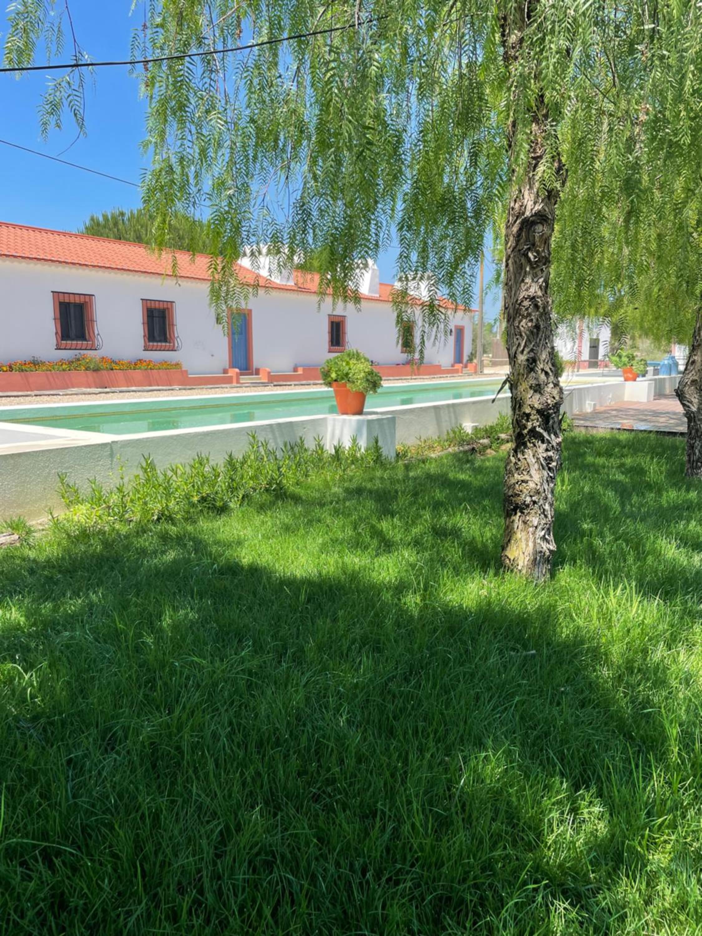 Photo 38