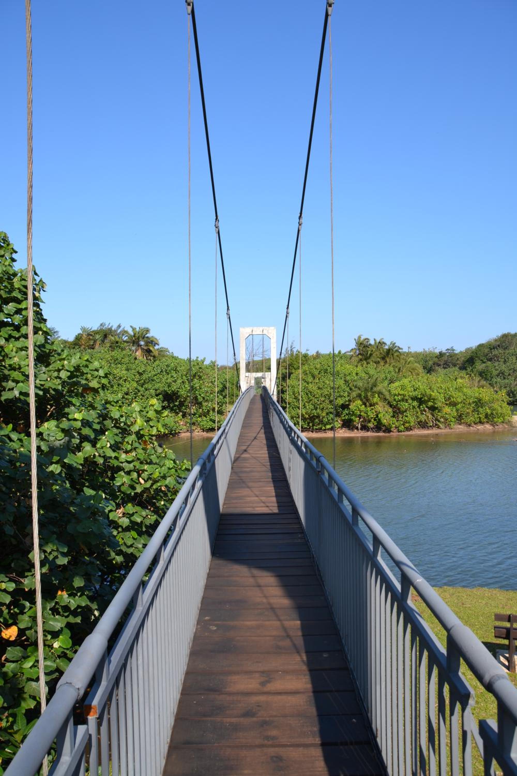 Photo 46