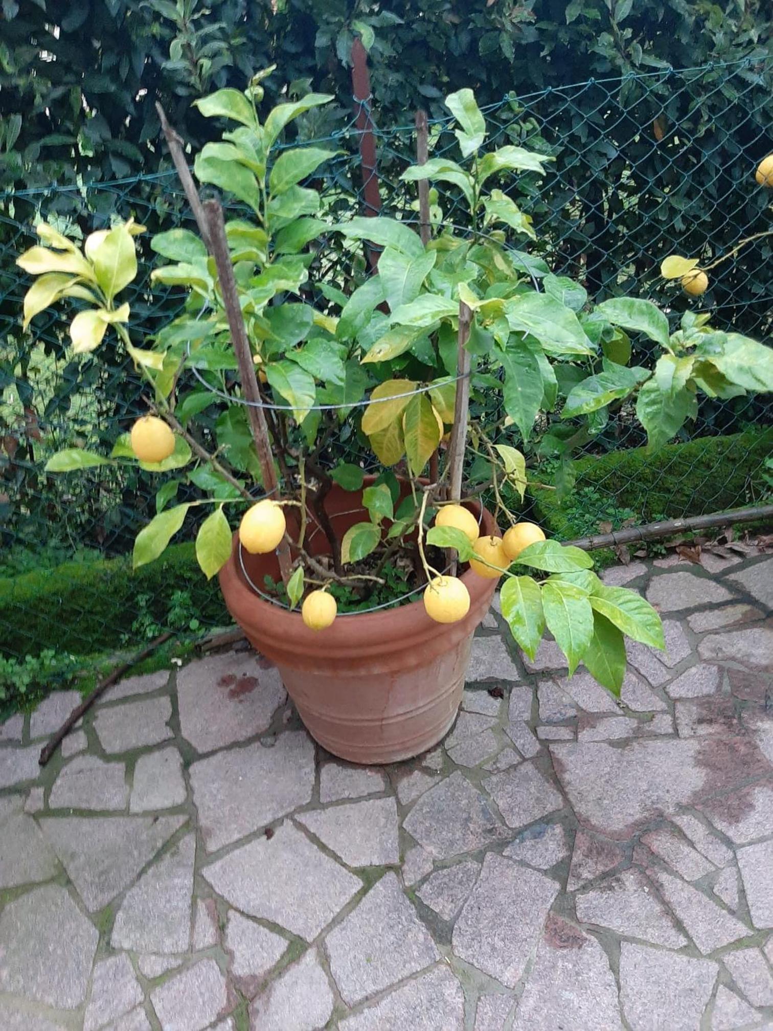 Appartamento Carla